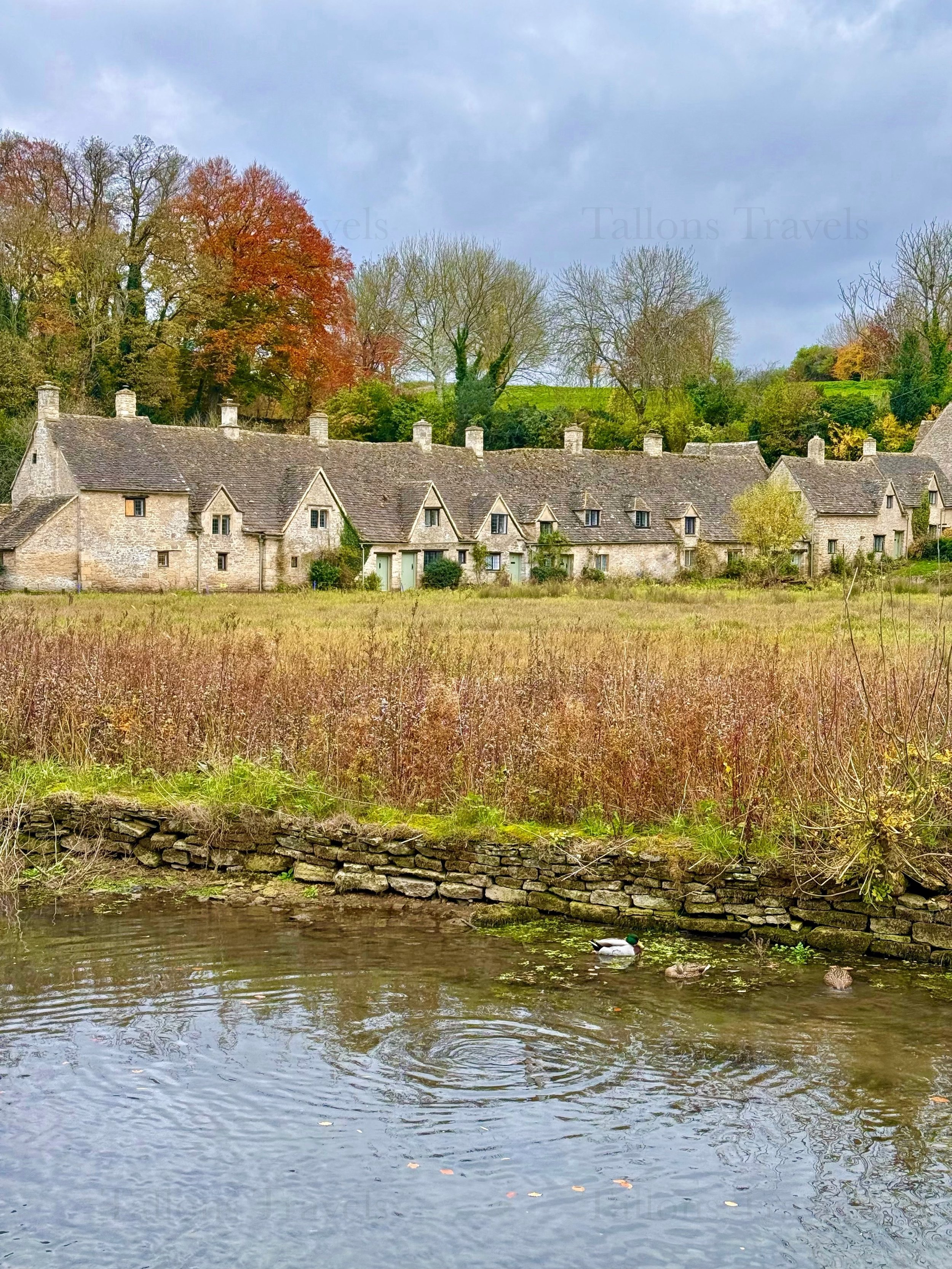 eZy Watermark_23-01-2026_11-26-35-7030AM.jpeg