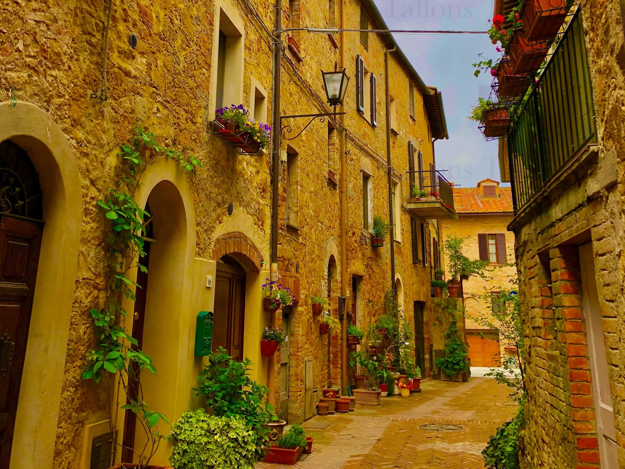 eZy Watermark_24-01-2026_08-09-59-6470PM.jpg