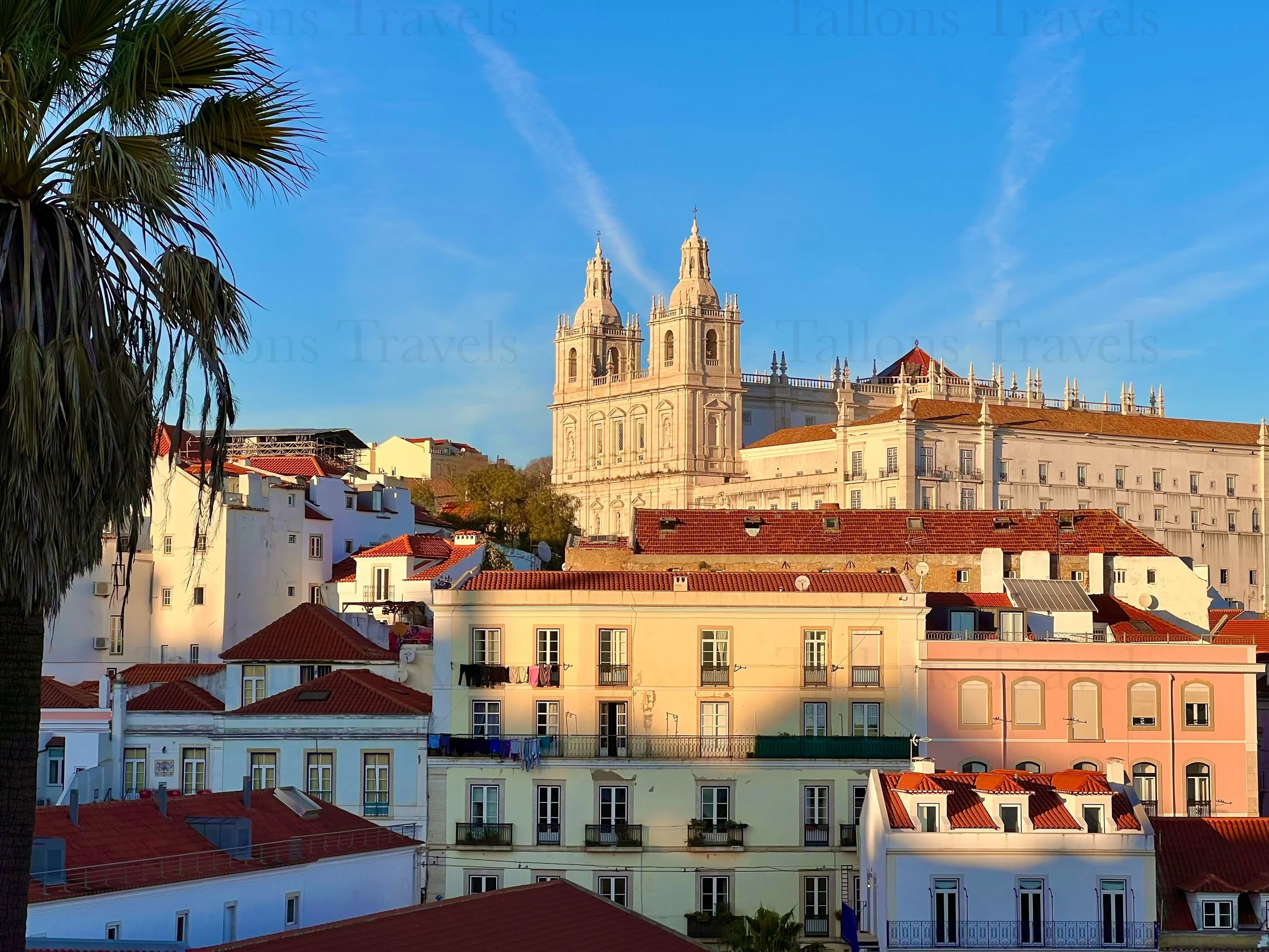 eZy Watermark_23-01-2026_10-56-01-8310PM.jpg