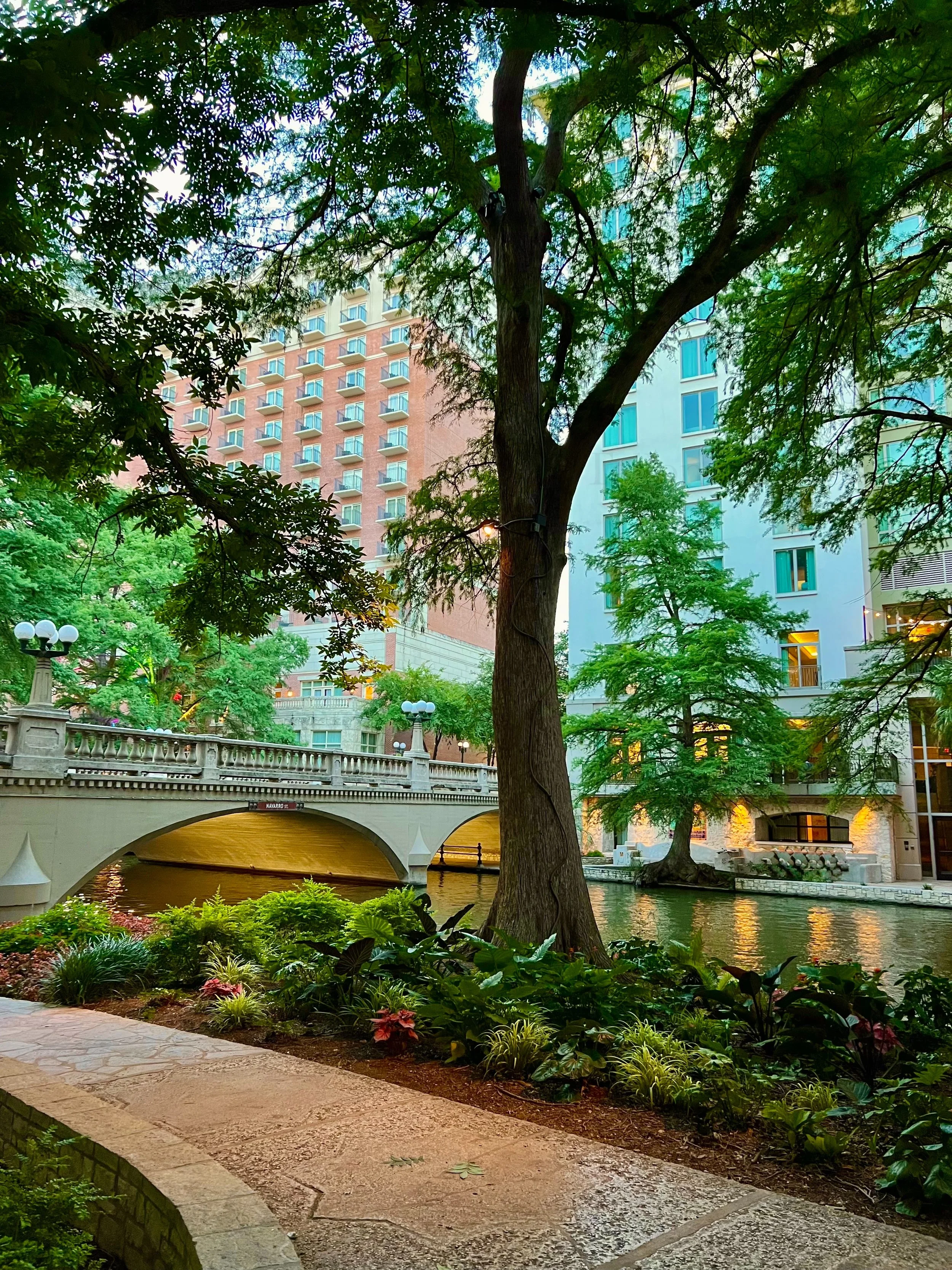 eZy Watermark_23-01-2026_10-04-23-1850PM.jpg