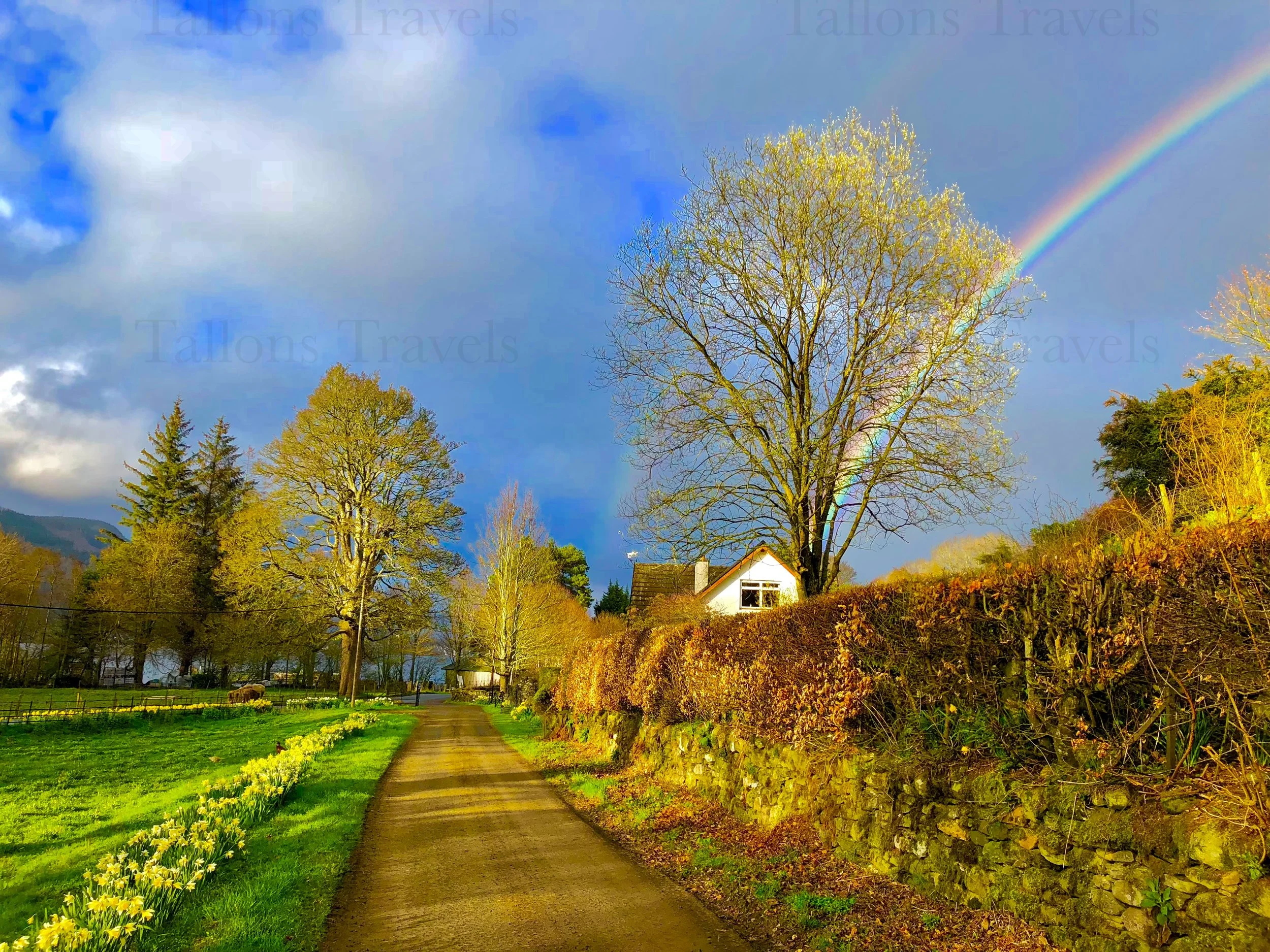 eZy Watermark_27-01-2026_09-47-13-4960PM.jpg