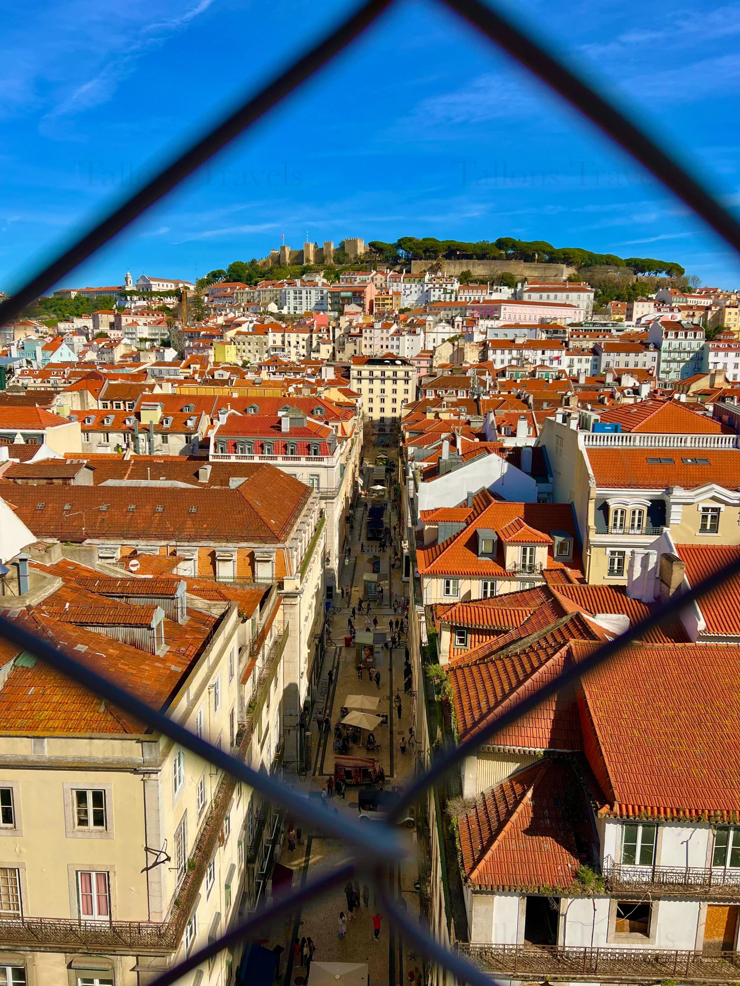 eZy Watermark_23-01-2026_11-03-51-7360PM.jpg