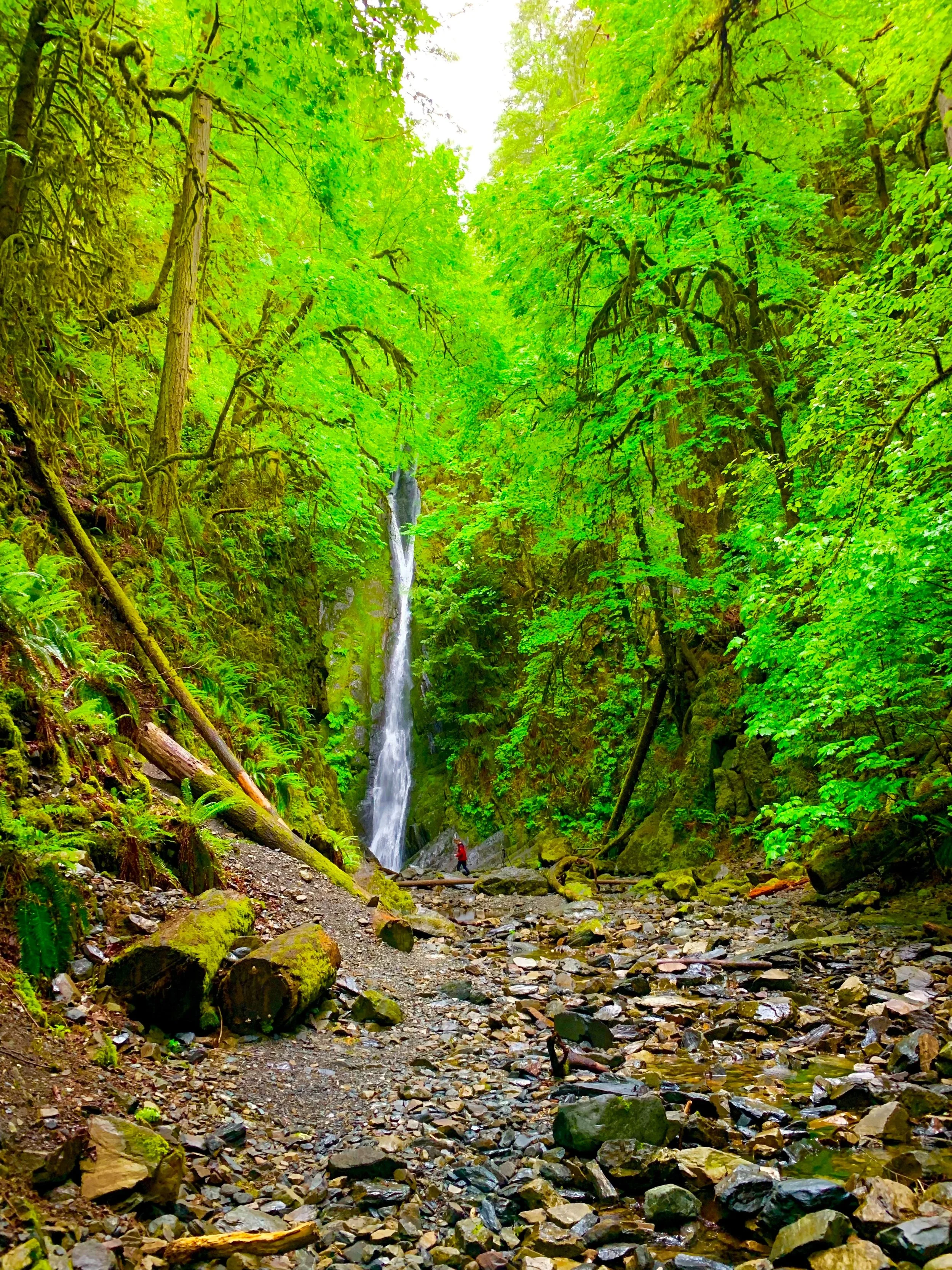 eZy Watermark_27-01-2026_09-10-53-2810PM.jpg