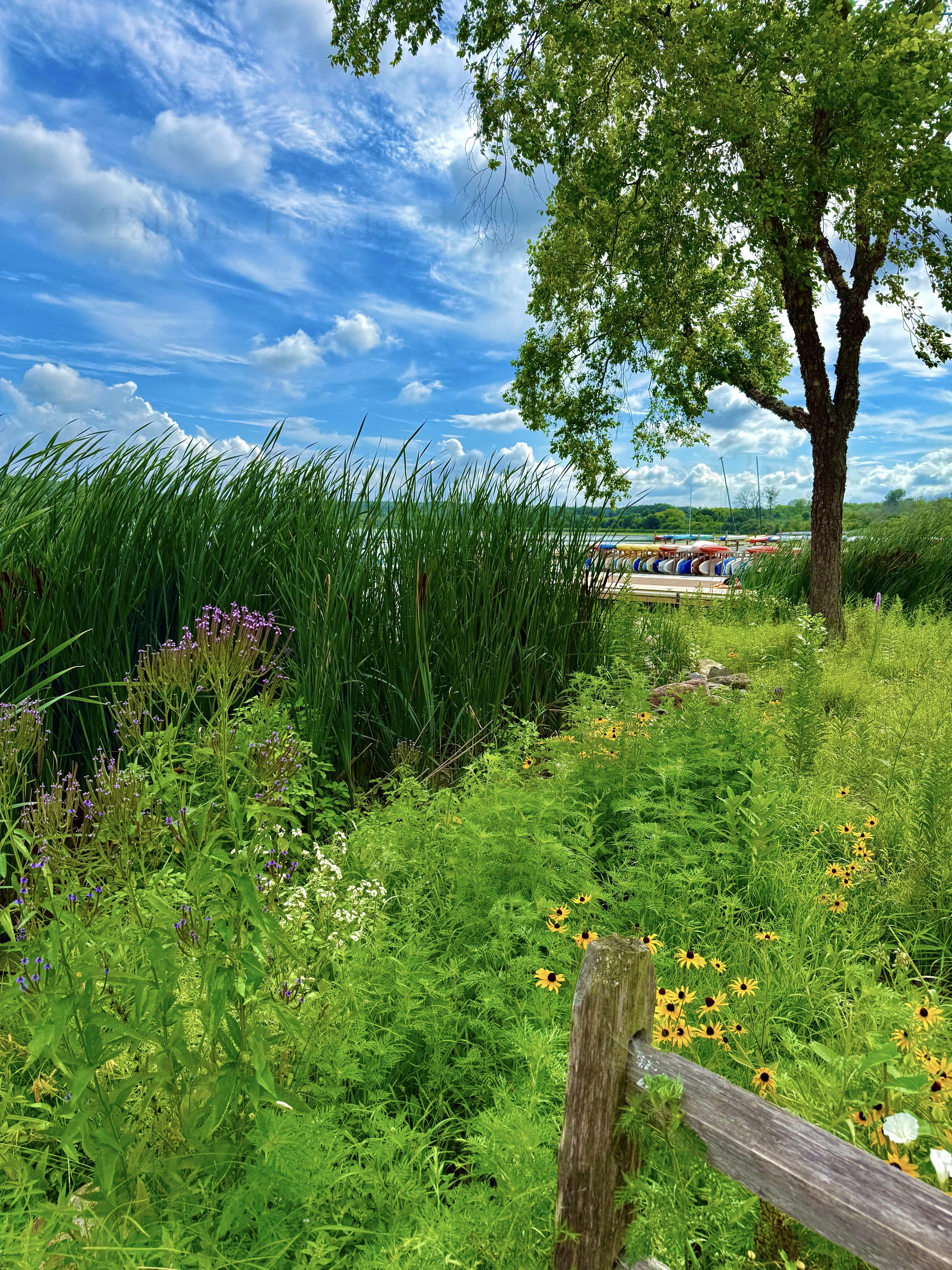 eZy Watermark_23-01-2026_10-38-41-3540PM.jpg