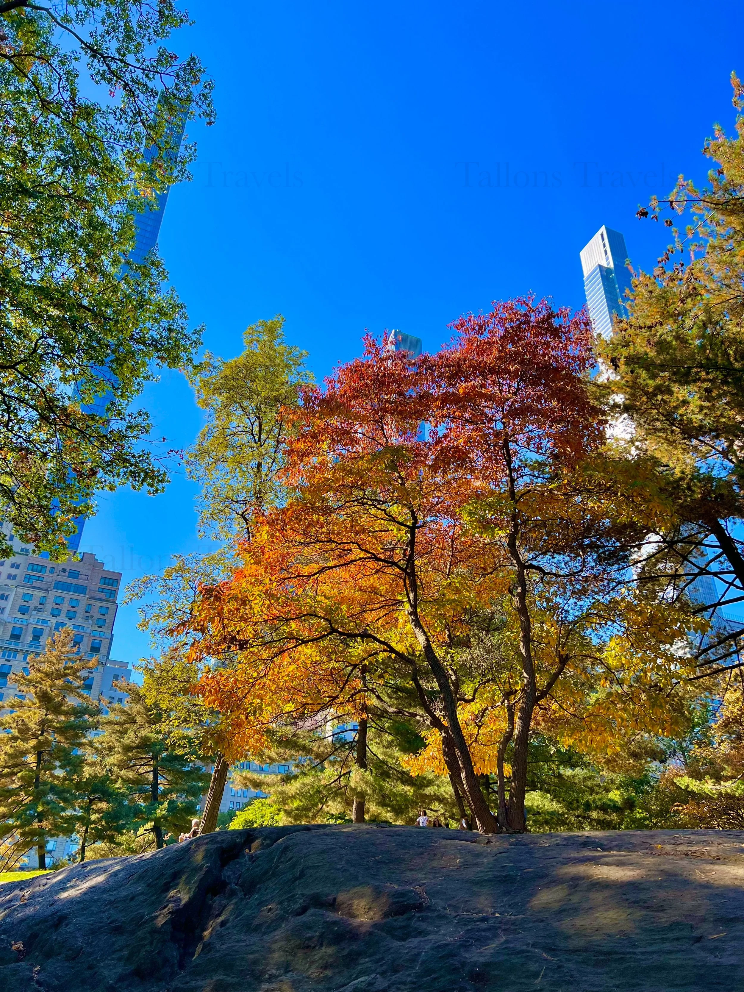 eZy Watermark_23-01-2026_11-20-21-0010PM.jpg