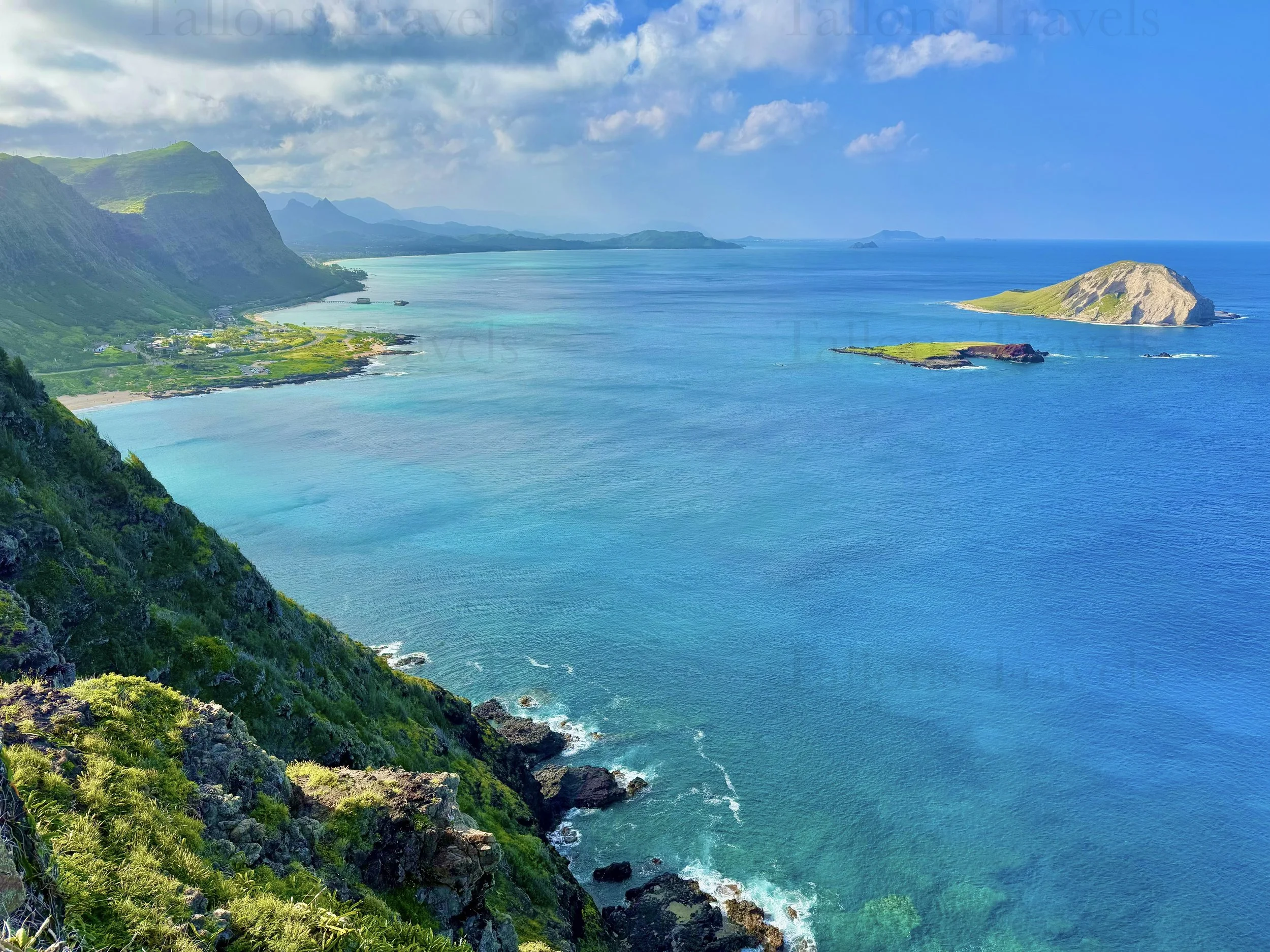 eZy Watermark_23-01-2026_10-19-59-1510PM.jpg