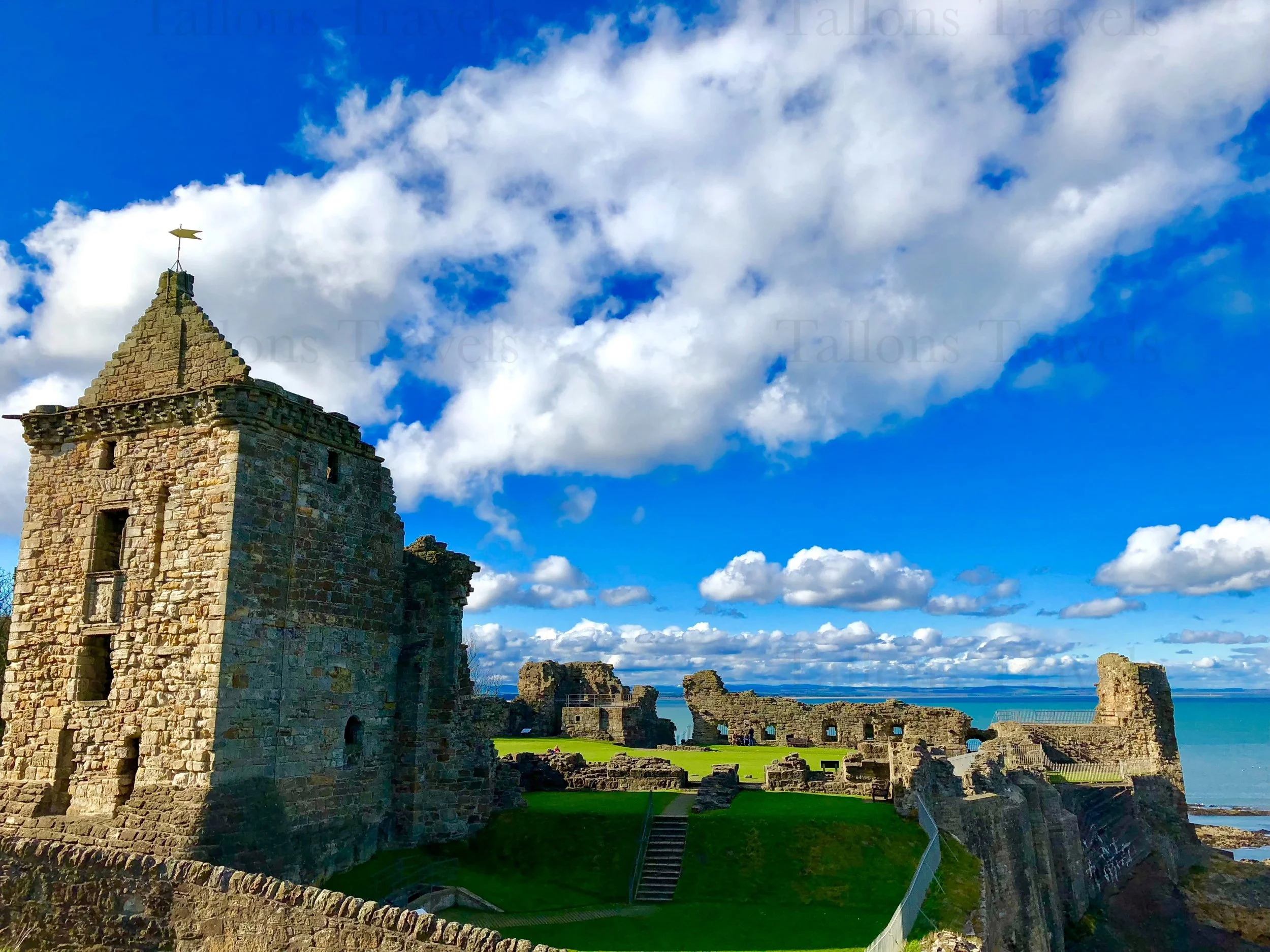 eZy Watermark_27-01-2026_09-48-00-7200PM.jpg