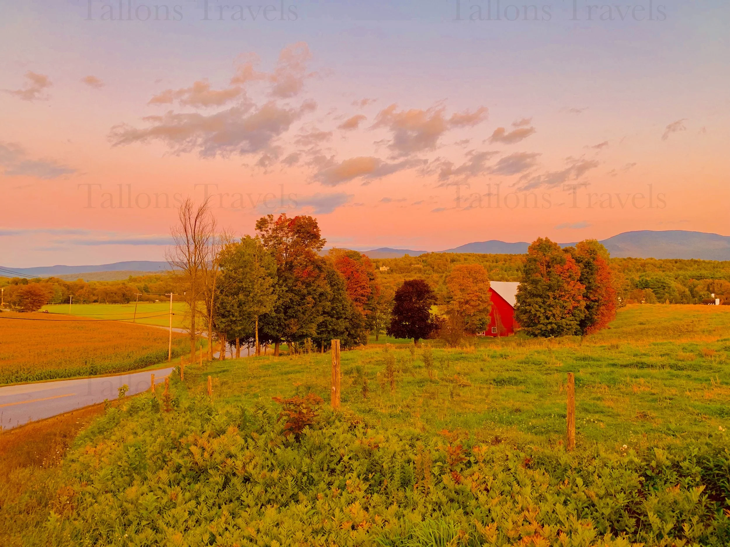 eZy Watermark_27-01-2026_10-00-08-6620PM.jpg