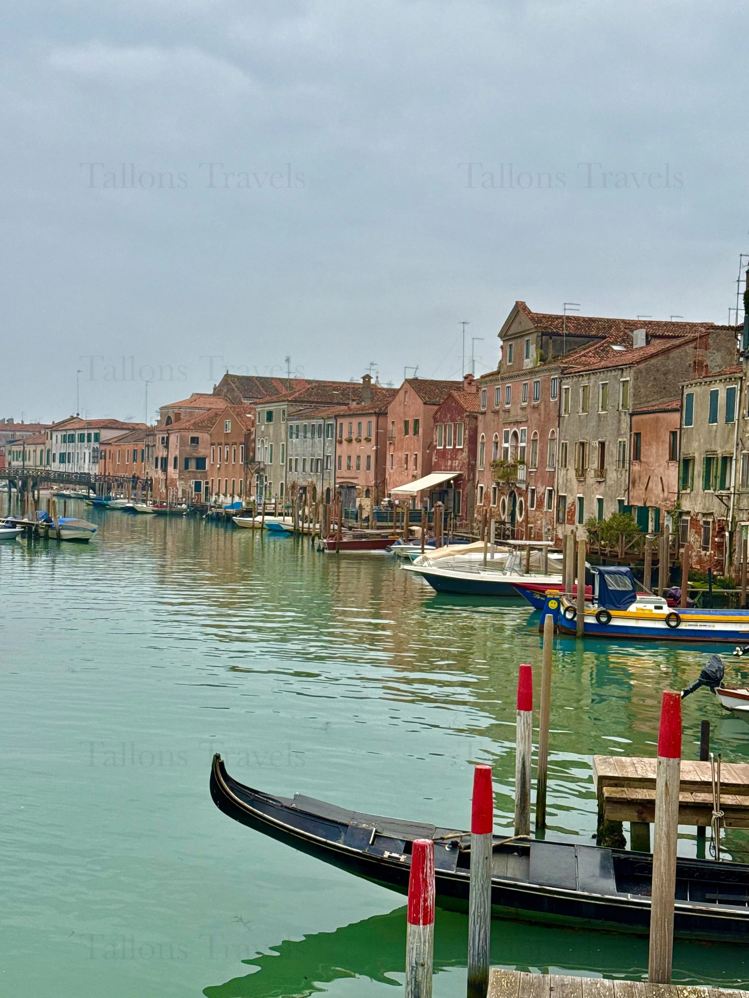 eZy Watermark_04-03-2026_06-27-23-7440PM.jpg