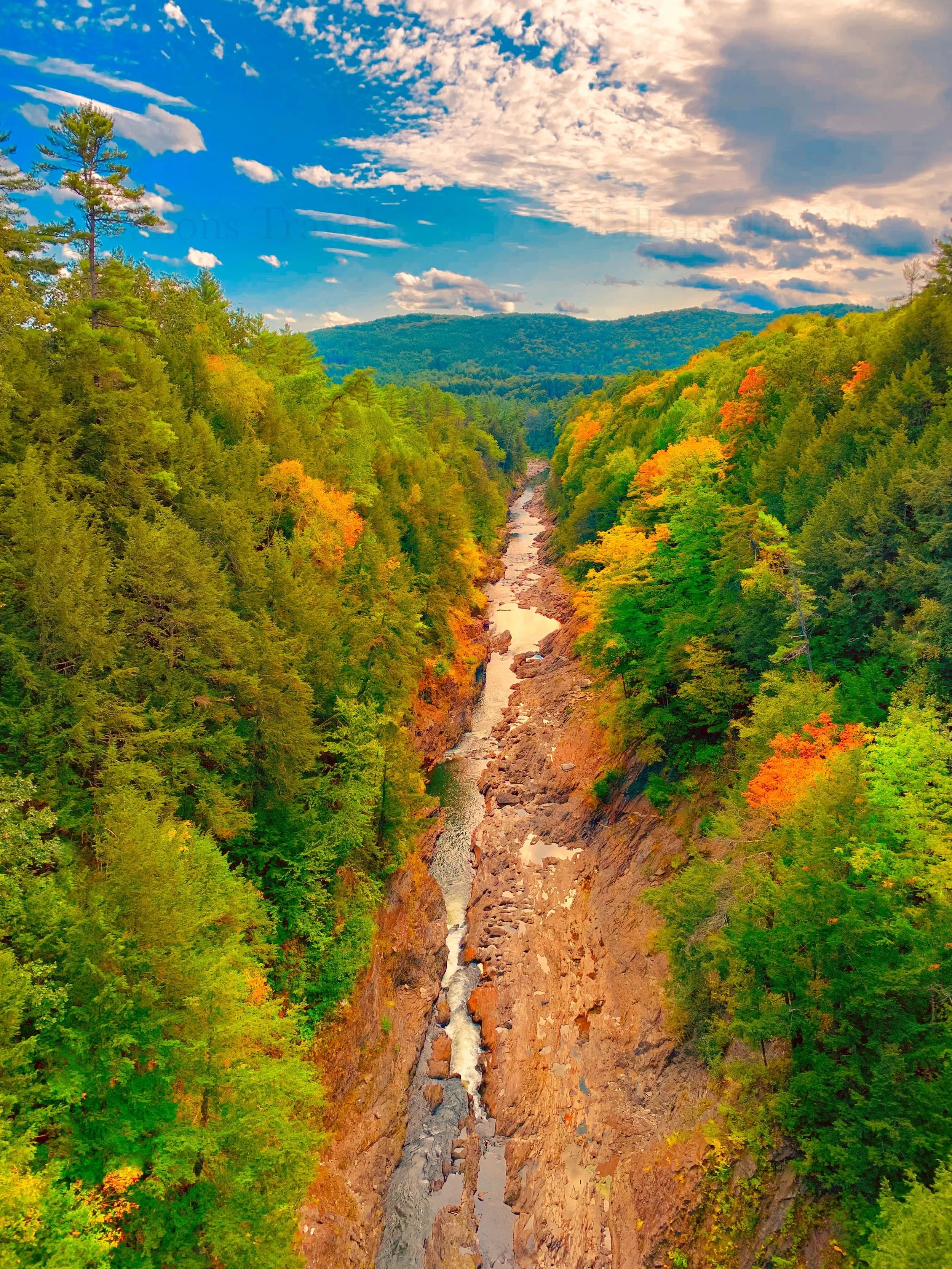 eZy Watermark_27-01-2026_09-59-31-4270PM.jpg