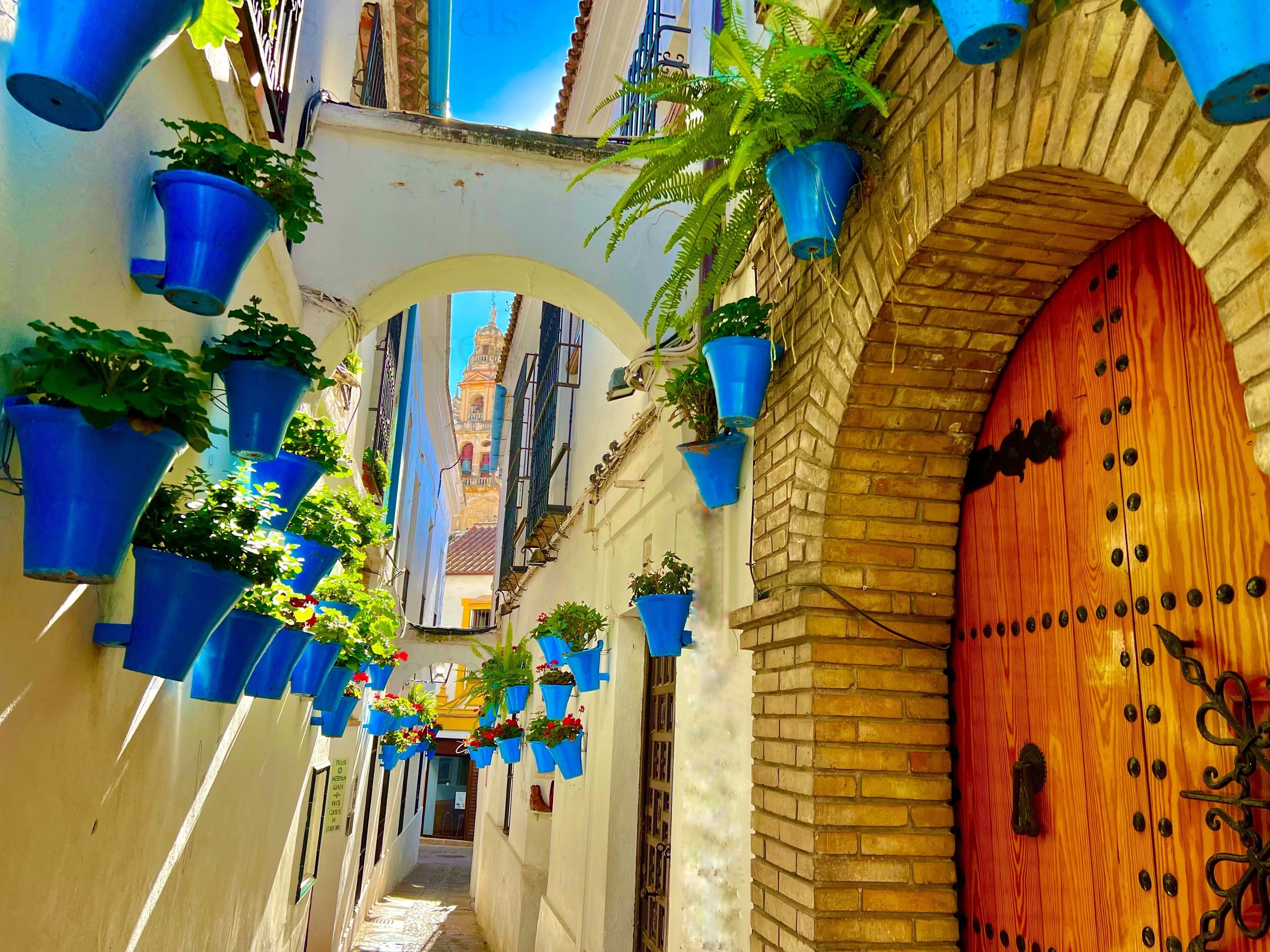 eZy Watermark_27-01-2026_09-21-39-3520PM.jpg