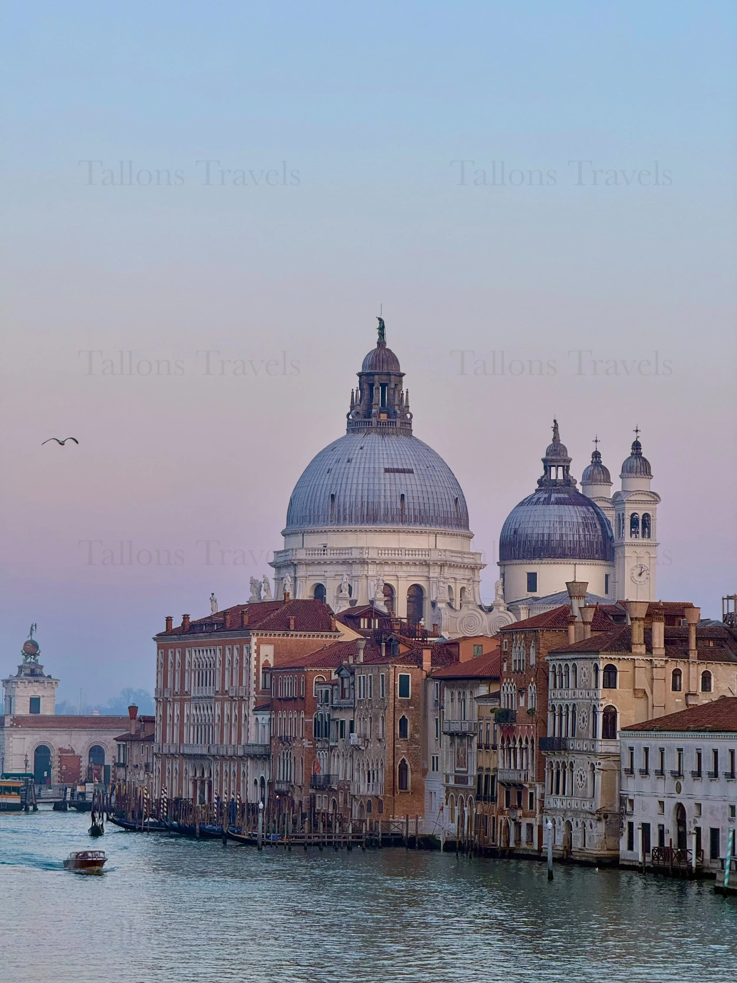 eZy Watermark_04-03-2026_06-29-33-8170PM.jpg