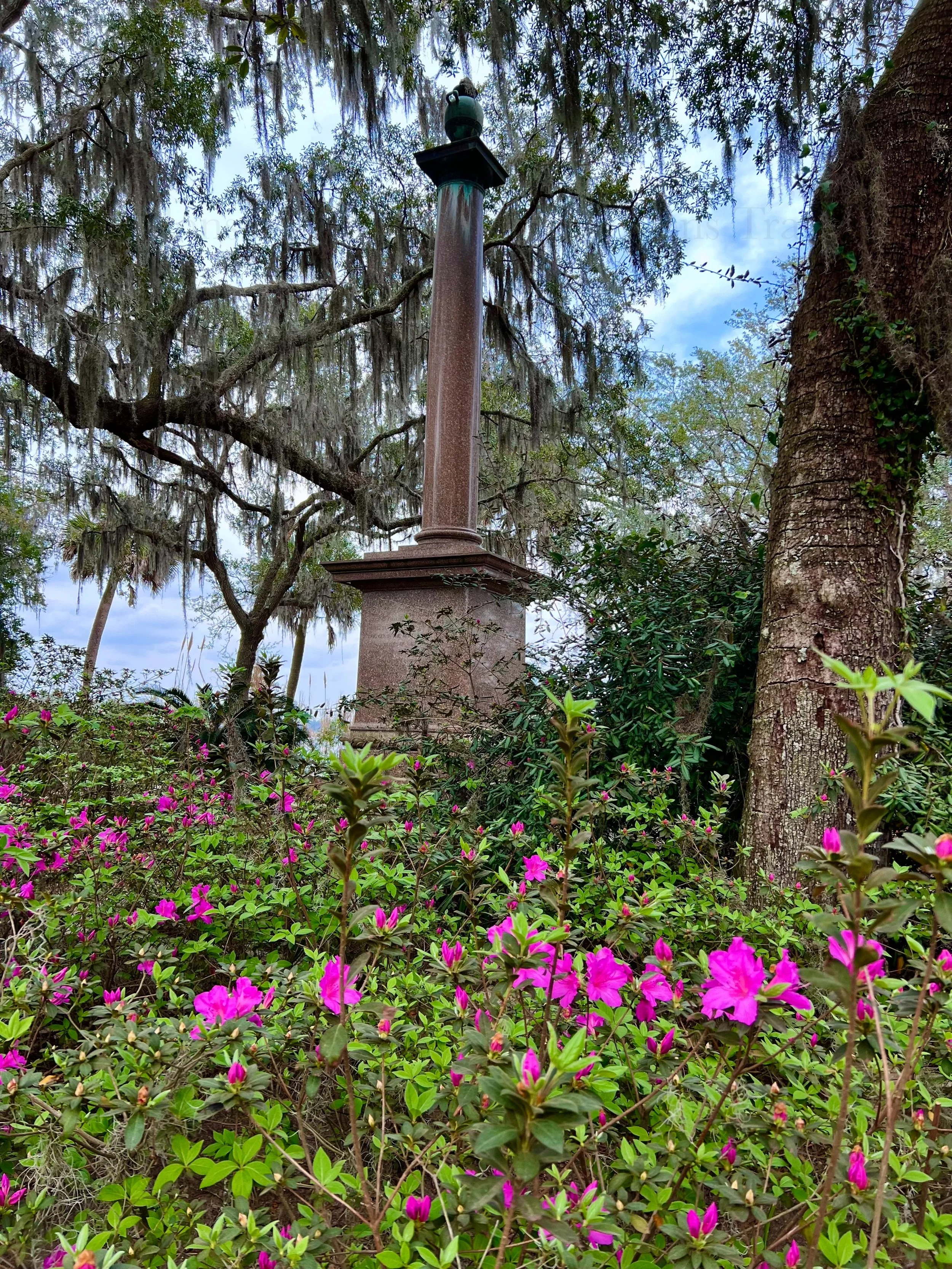 eZy Watermark_27-01-2026_10-08-21-7900PM.jpg