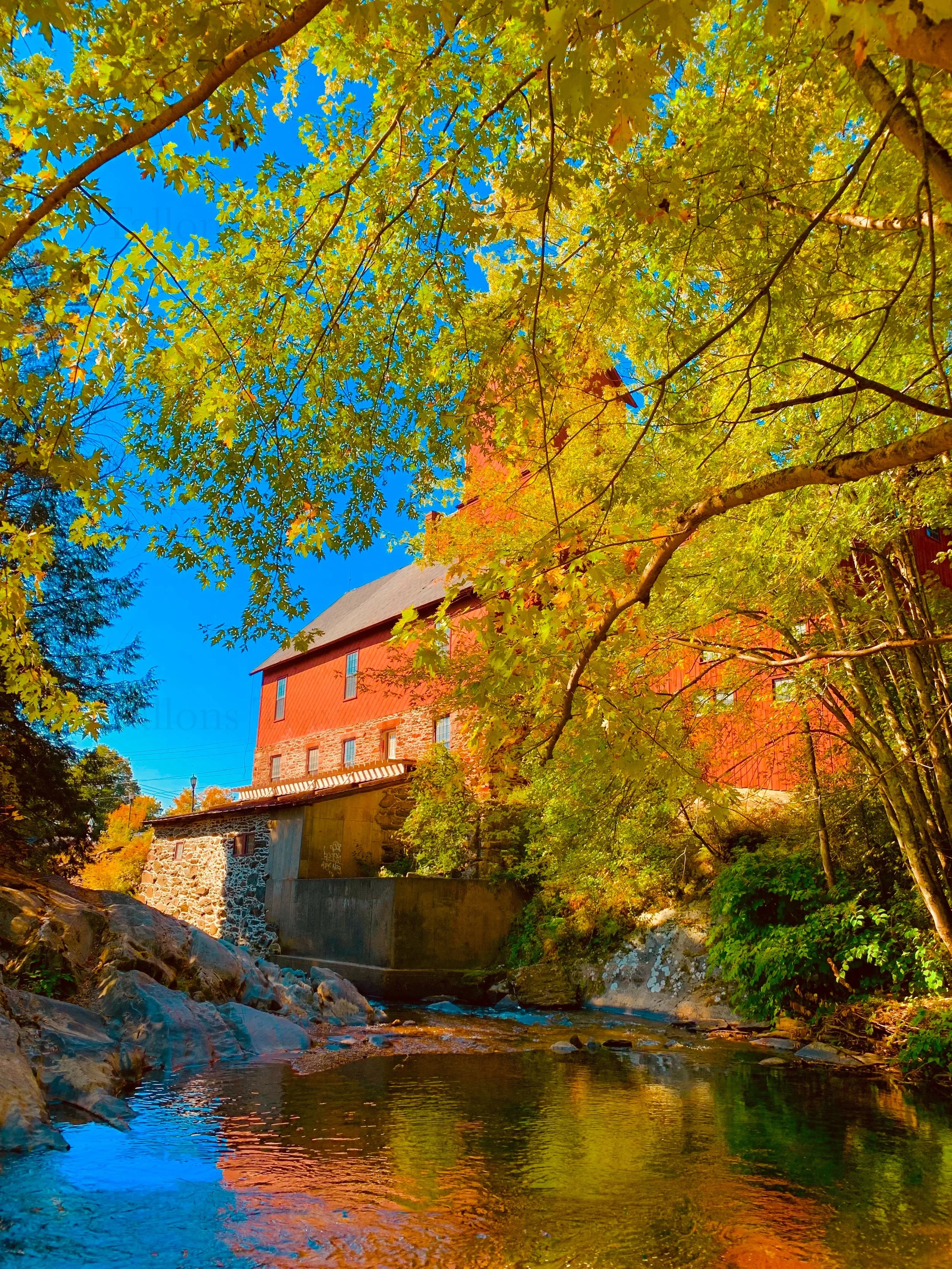 eZy Watermark_27-01-2026_10-00-06-2010PM.jpg