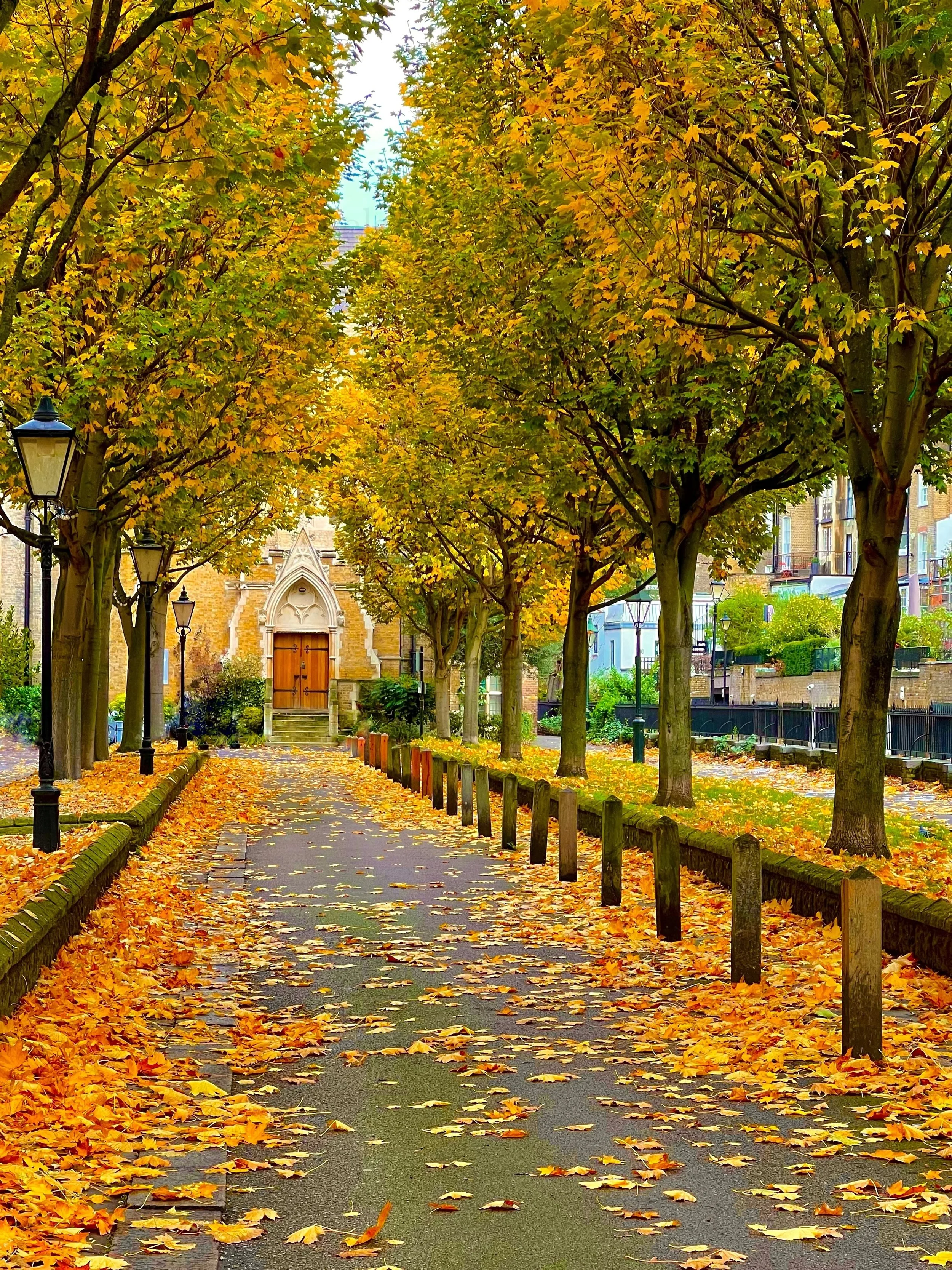 eZy Watermark_23-01-2026_01-41-55-6880PM.jpg