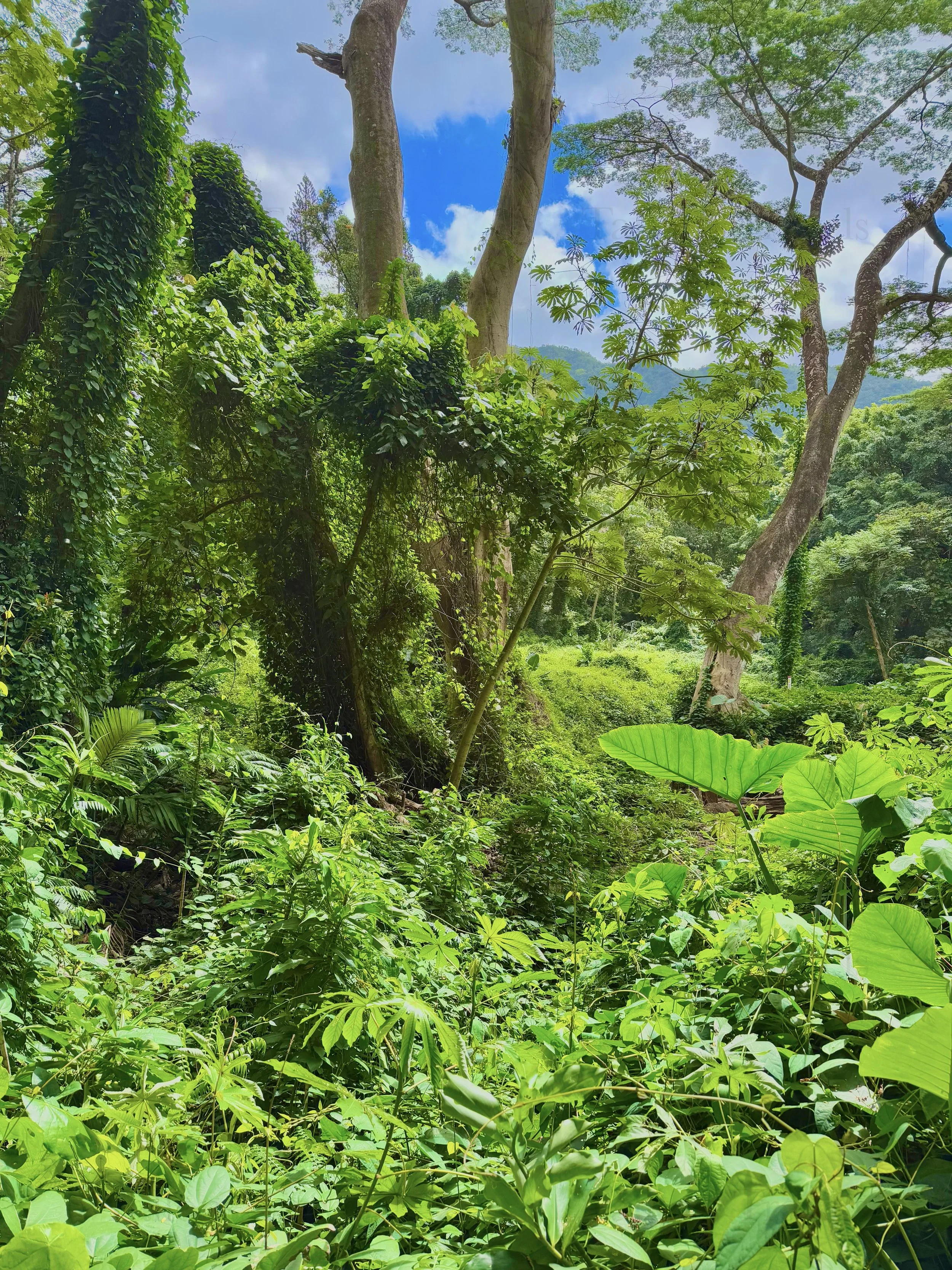 eZy Watermark_23-01-2026_10-20-26-9080PM.jpg