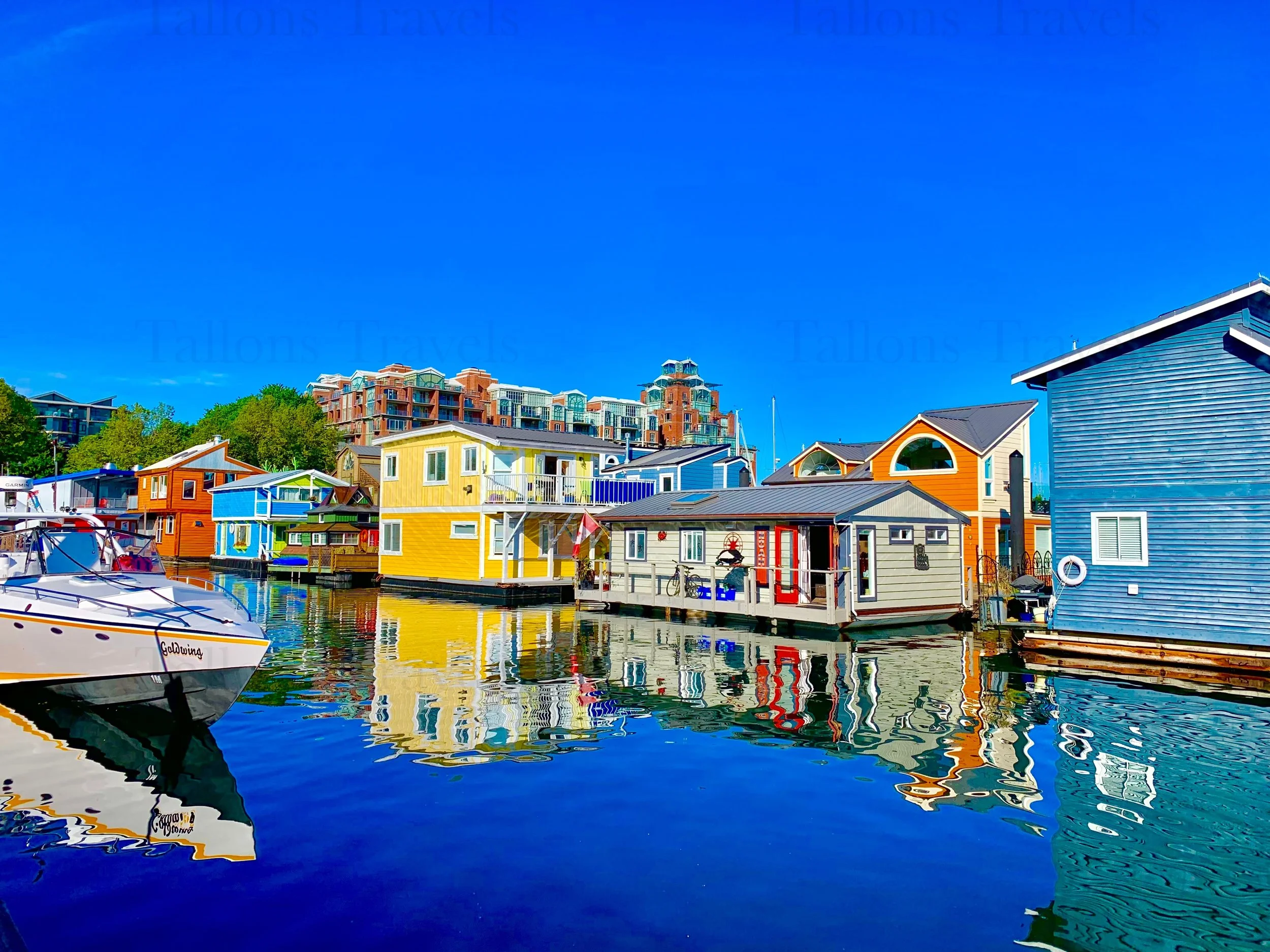 eZy Watermark_27-01-2026_09-10-59-0520PM.jpg