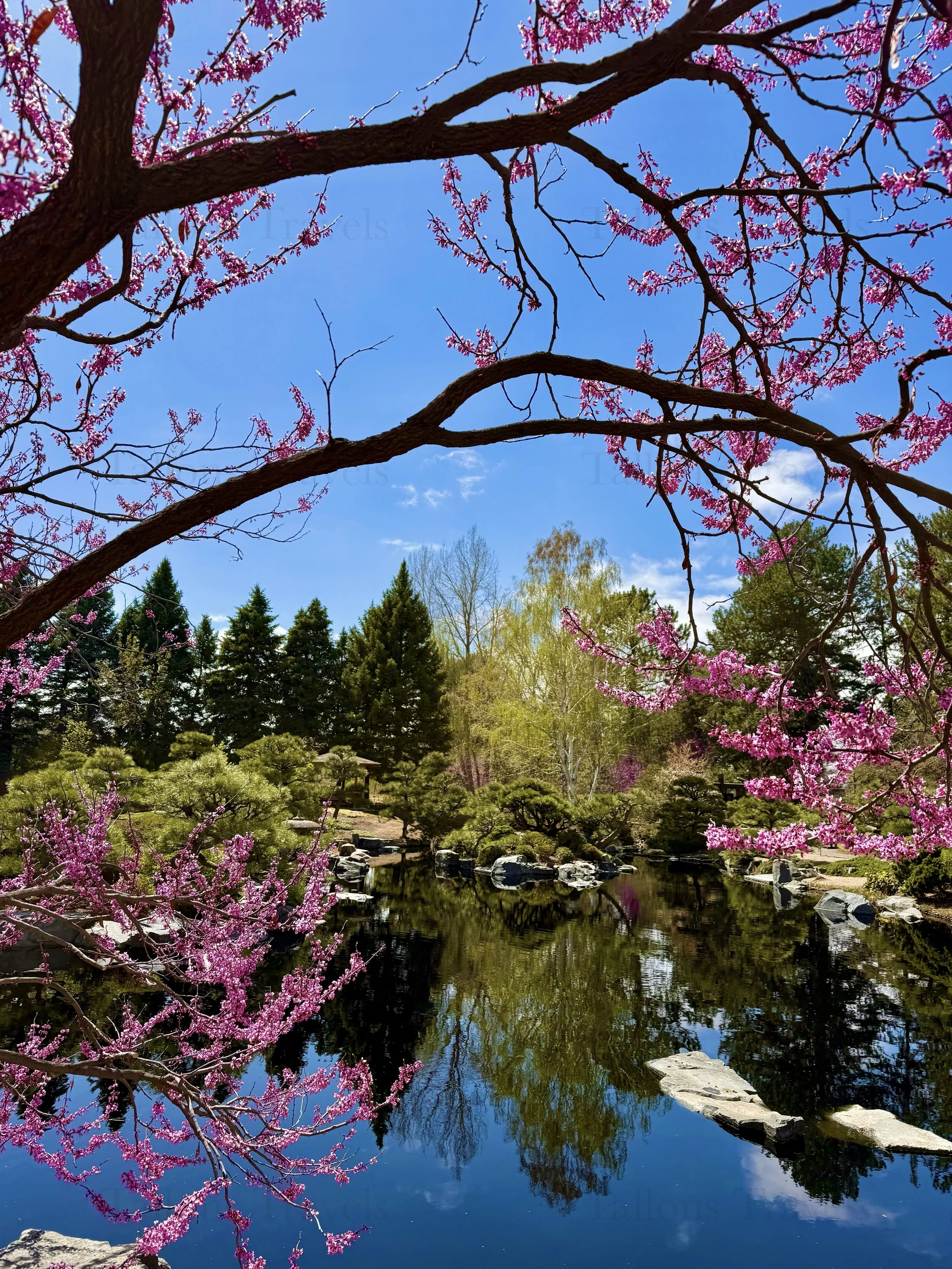 eZy Watermark_27-01-2026_09-39-58-0940PM.jpg