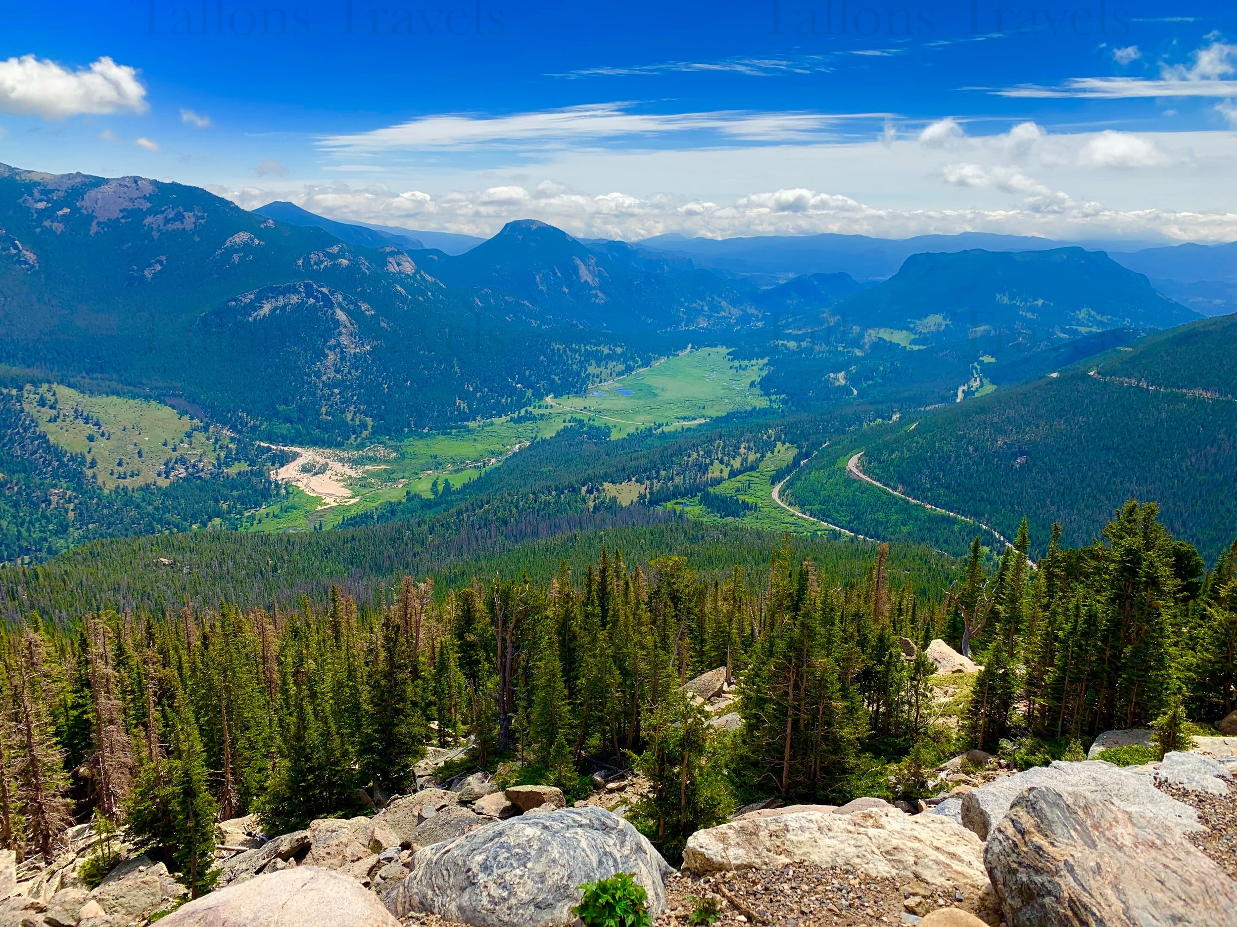 eZy Watermark_27-01-2026_09-39-30-9990PM.jpg