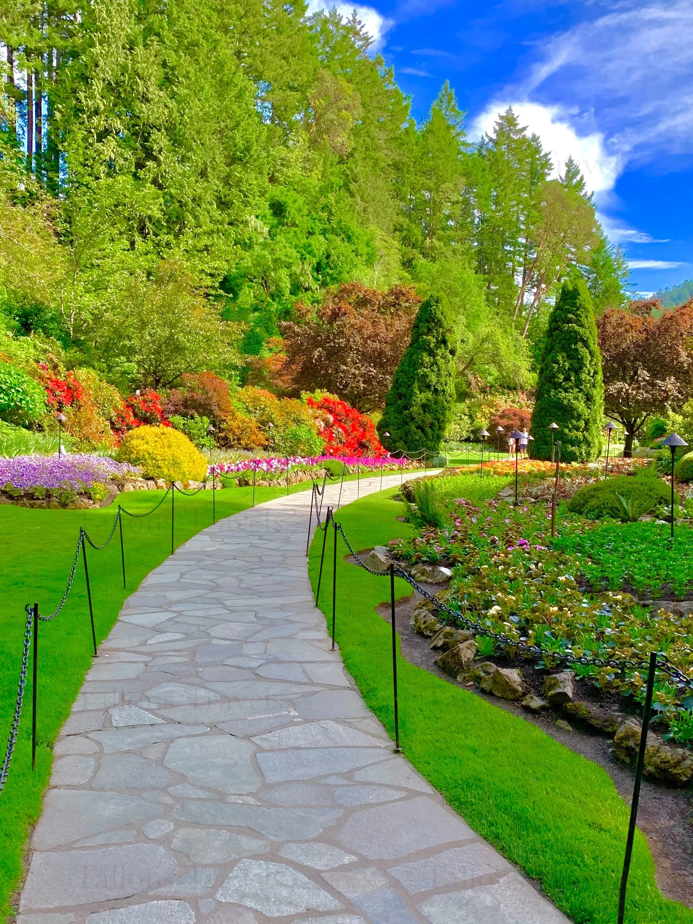 eZy Watermark_27-01-2026_09-11-14-9350PM.jpg