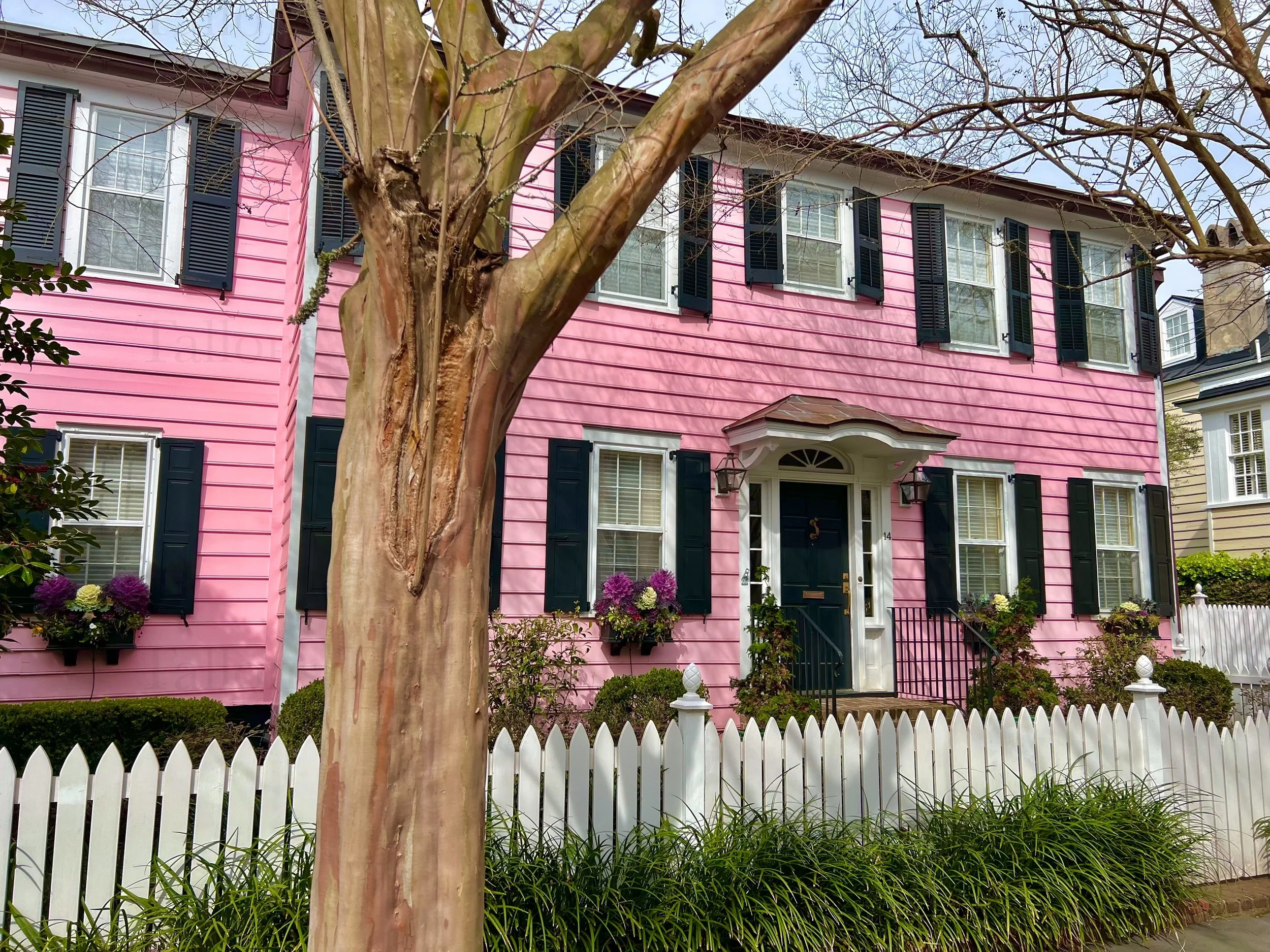 eZy Watermark_25-01-2026_08-25-25-3060PM.jpg