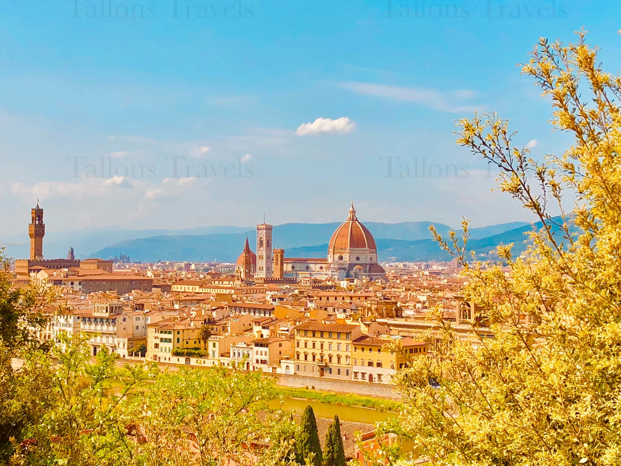 eZy Watermark_24-01-2026_08-09-26-1680PM.jpg