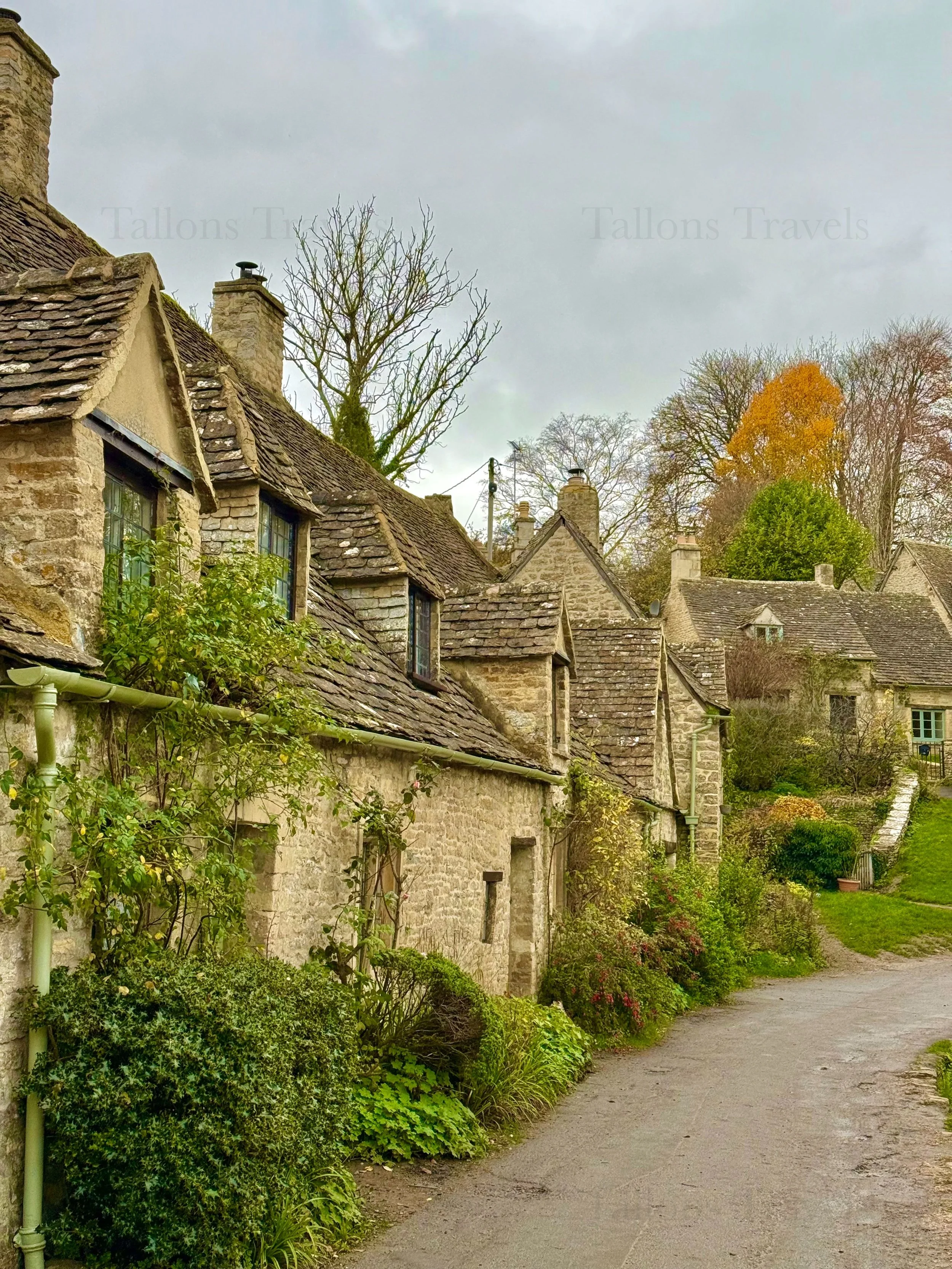 eZy Watermark_23-01-2026_11-26-37-3070AM.jpeg