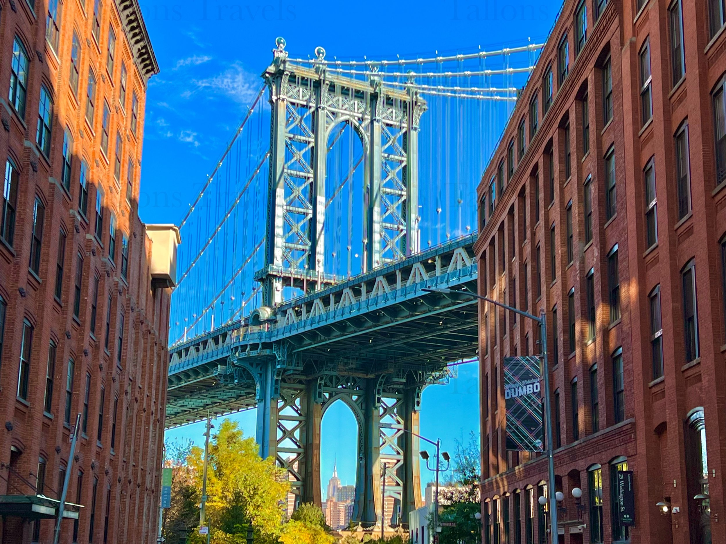 eZy Watermark_23-01-2026_11-19-13-5360PM.jpg