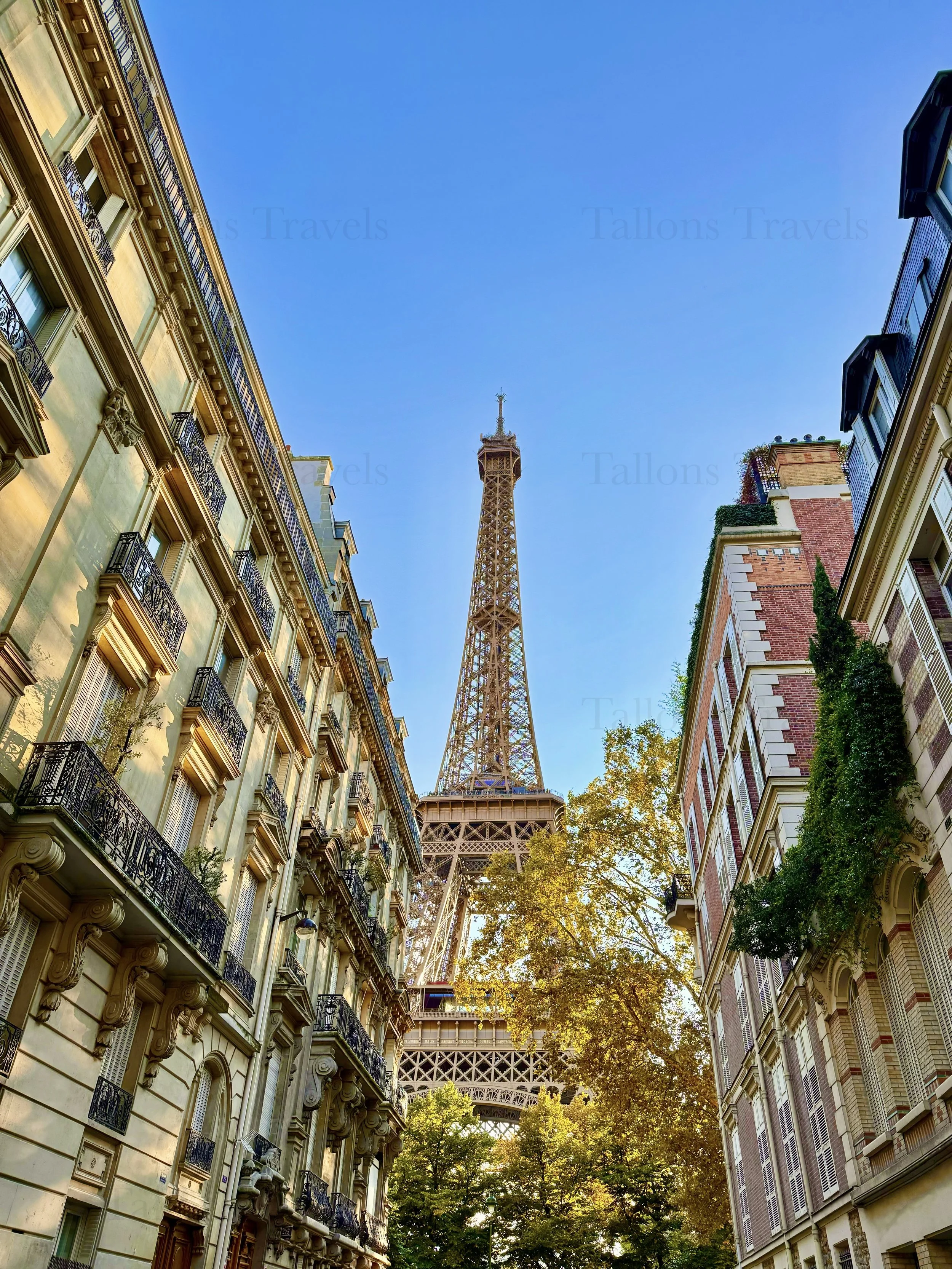 eZy Watermark_23-01-2026_09-40-47-1140PM.jpg