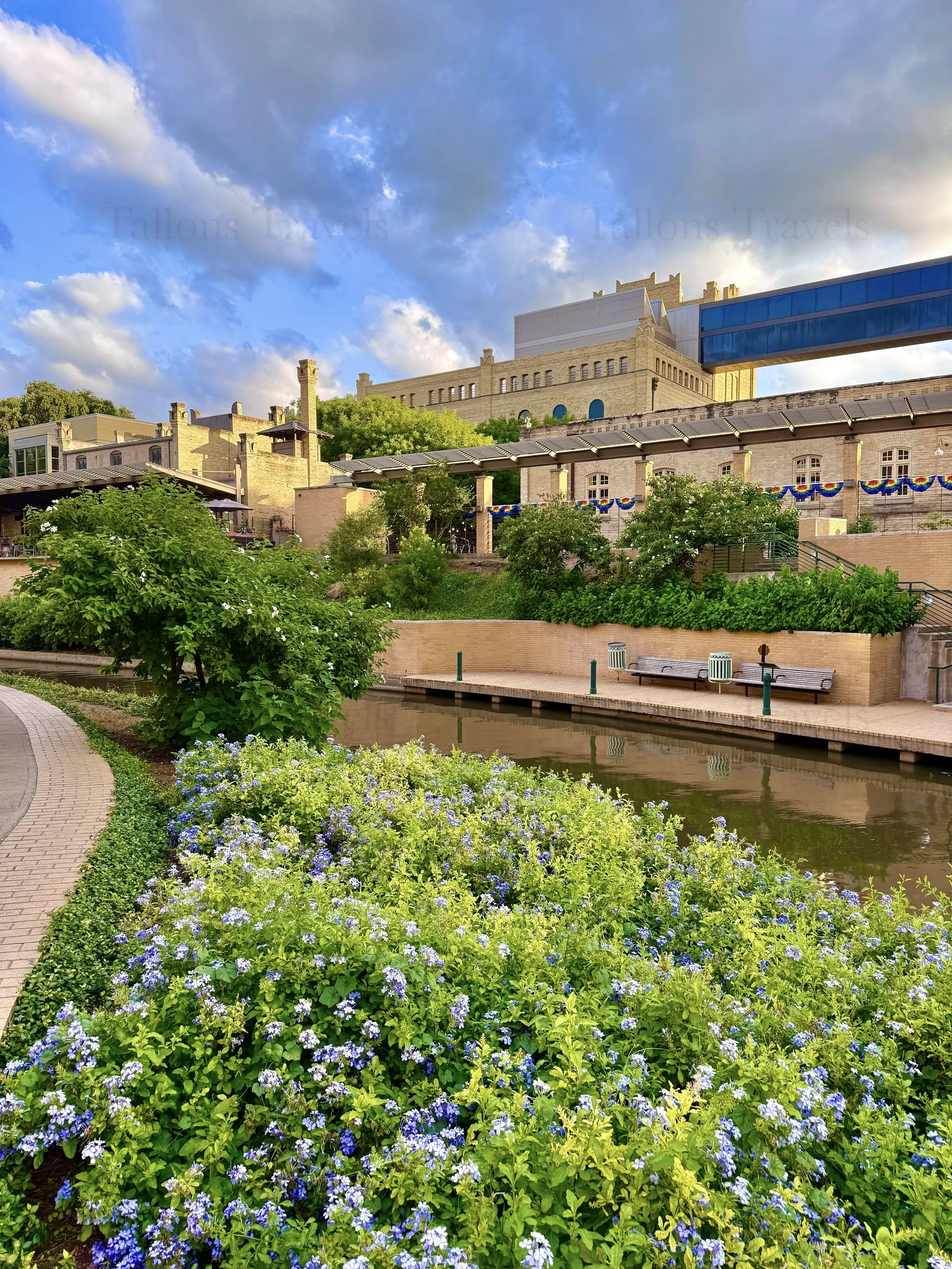 eZy Watermark_23-01-2026_10-05-11-4590PM.jpg