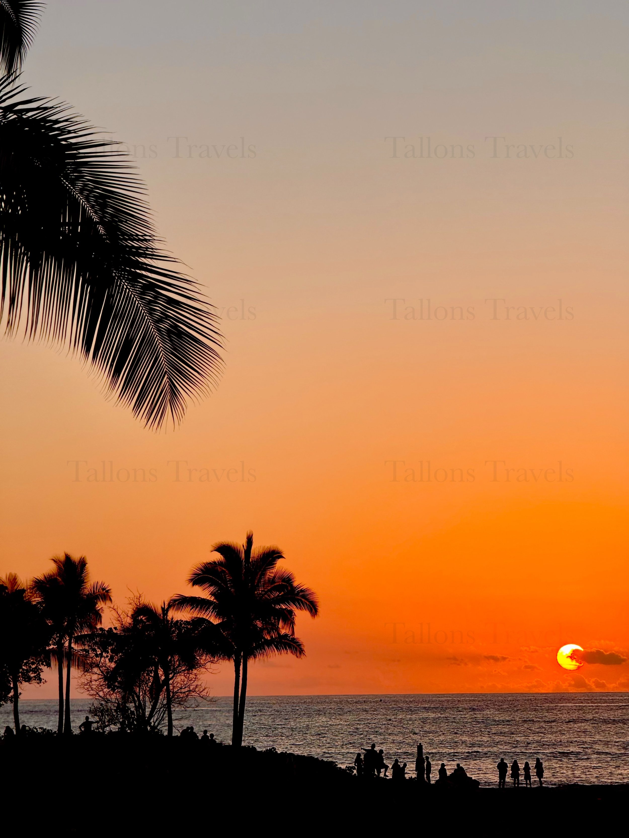 eZy Watermark_23-01-2026_10-19-30-9180PM.jpg