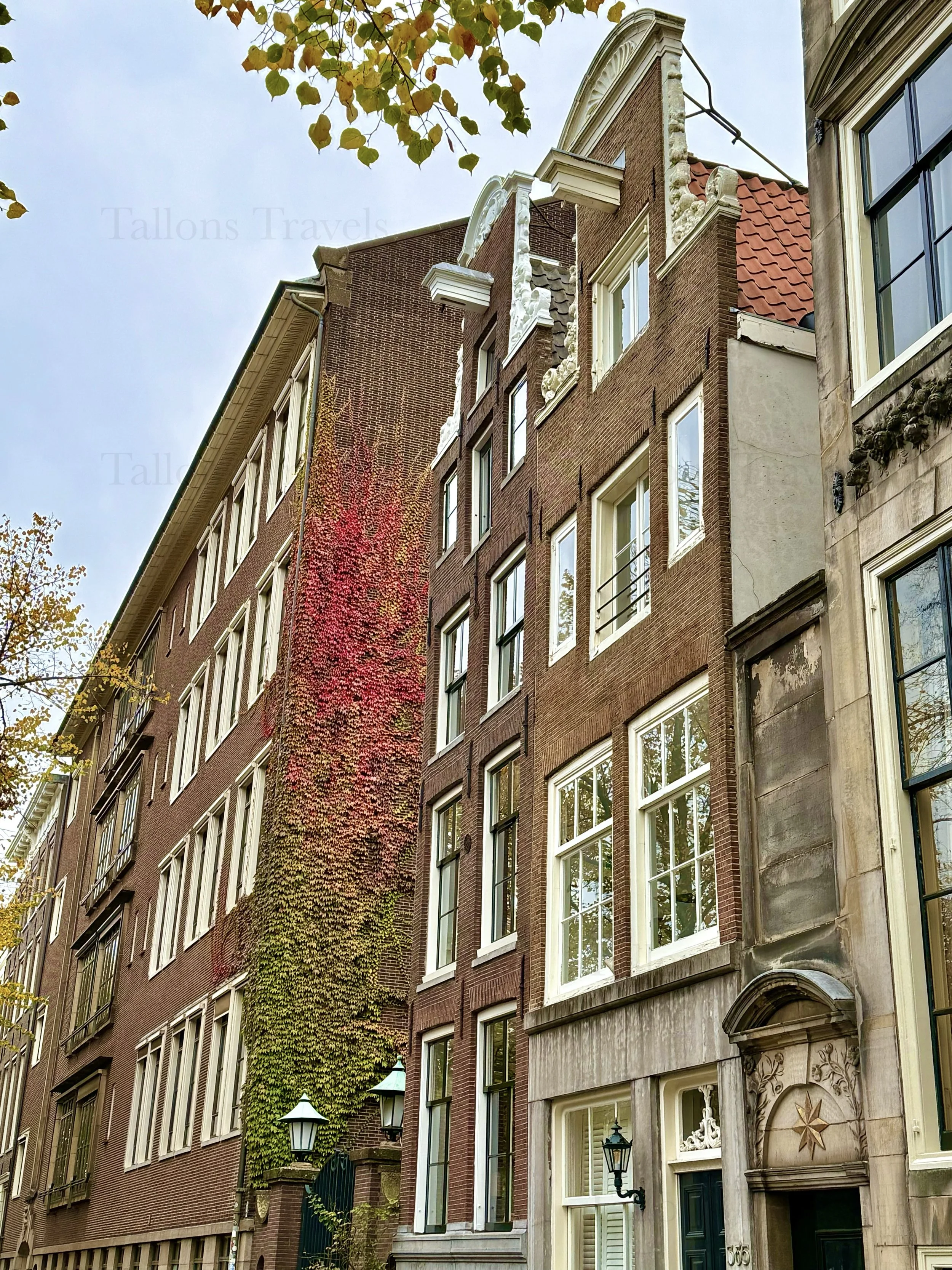 eZy Watermark_23-01-2026_11-38-03-7870AM.jpg