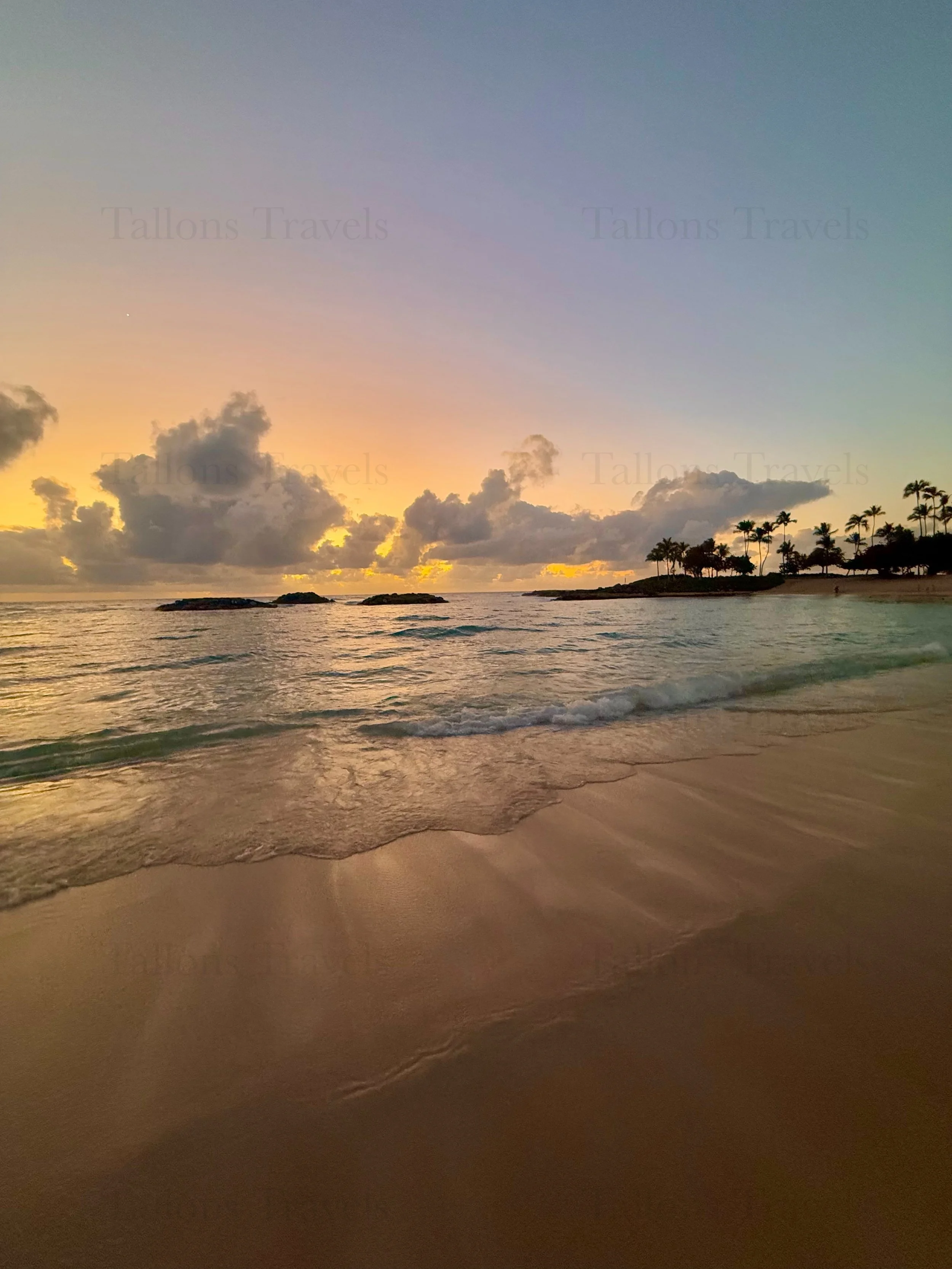 eZy Watermark_23-01-2026_10-20-40-7790PM.jpg