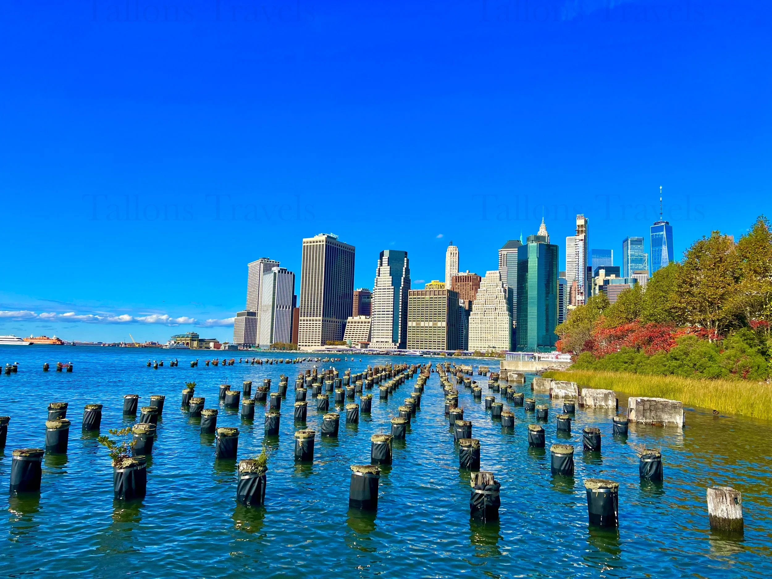 eZy Watermark_23-01-2026_11-19-05-7640PM.jpg