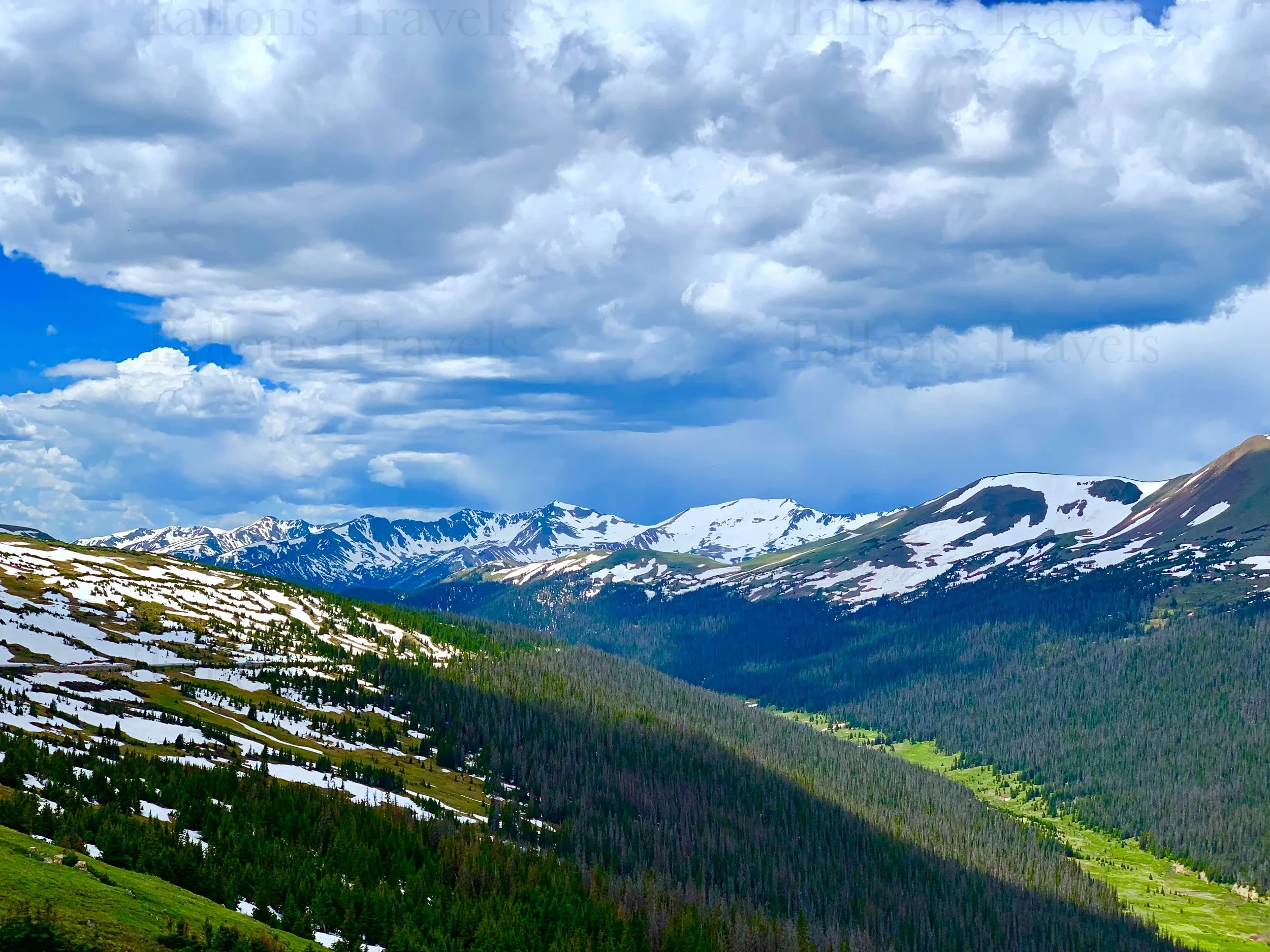 eZy Watermark_27-01-2026_09-39-34-9940PM.jpg