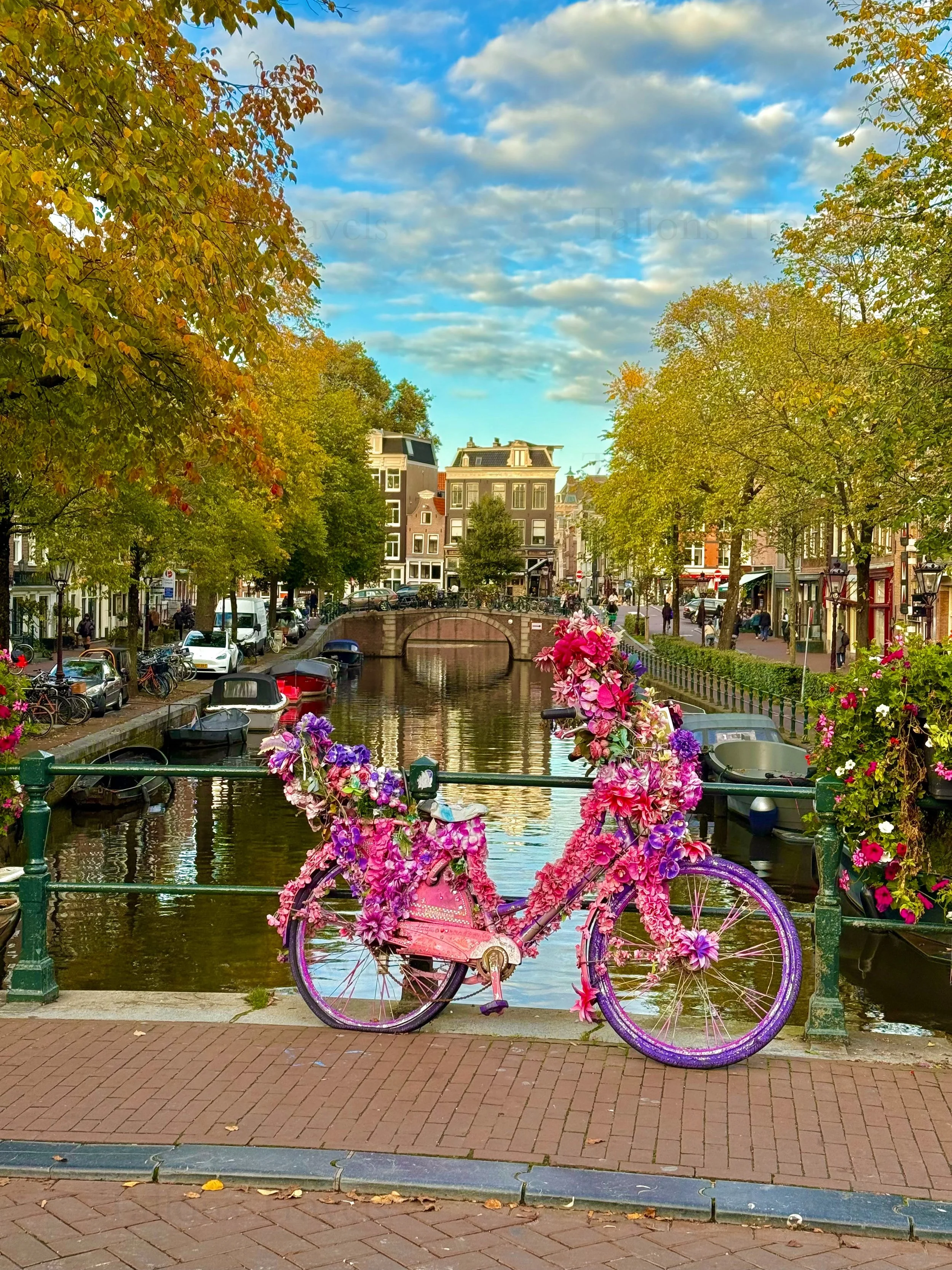 eZy Watermark_23-01-2026_11-37-23-2460AM.jpg