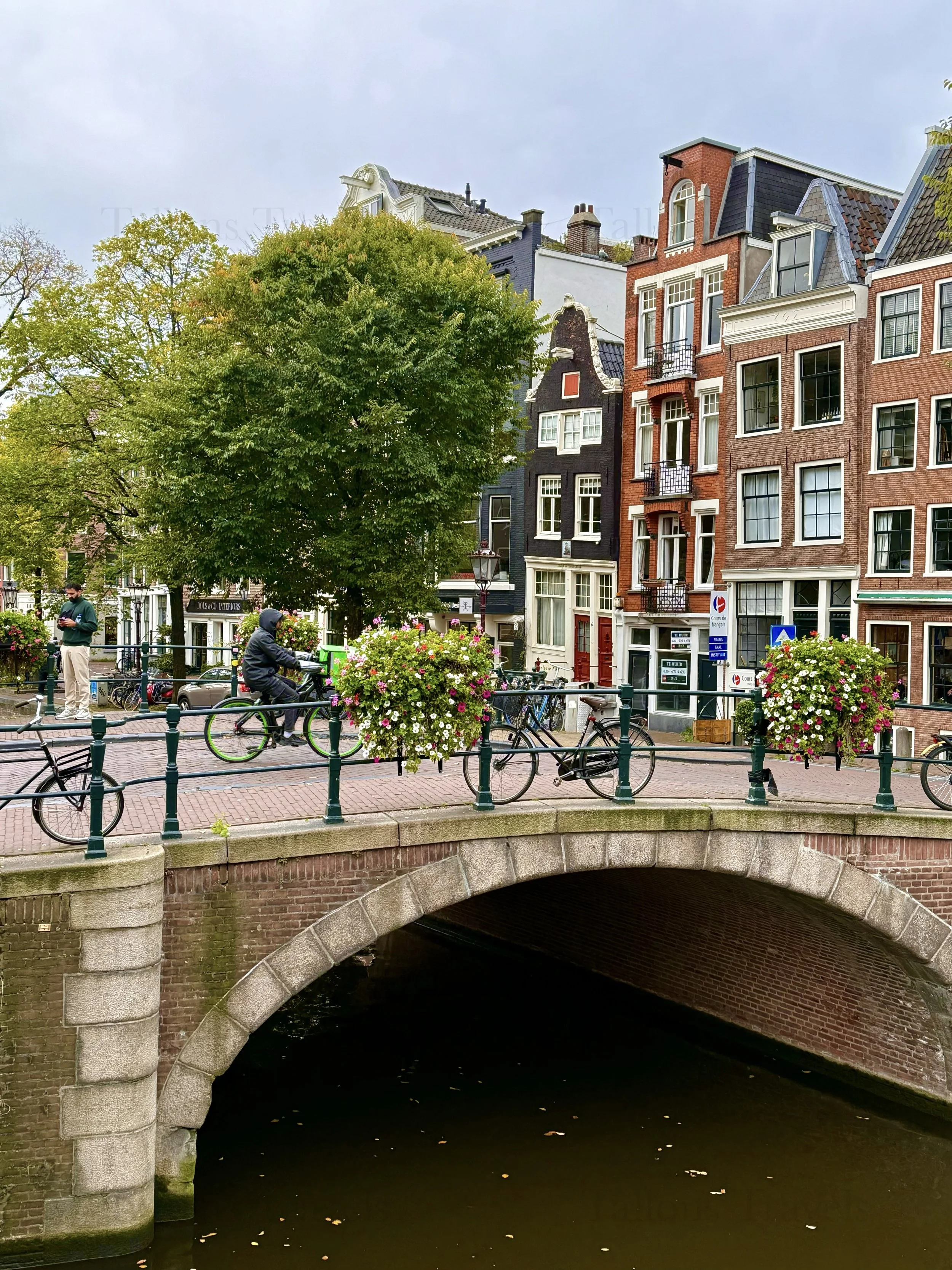 eZy Watermark_23-01-2026_11-37-52-0590AM.jpg