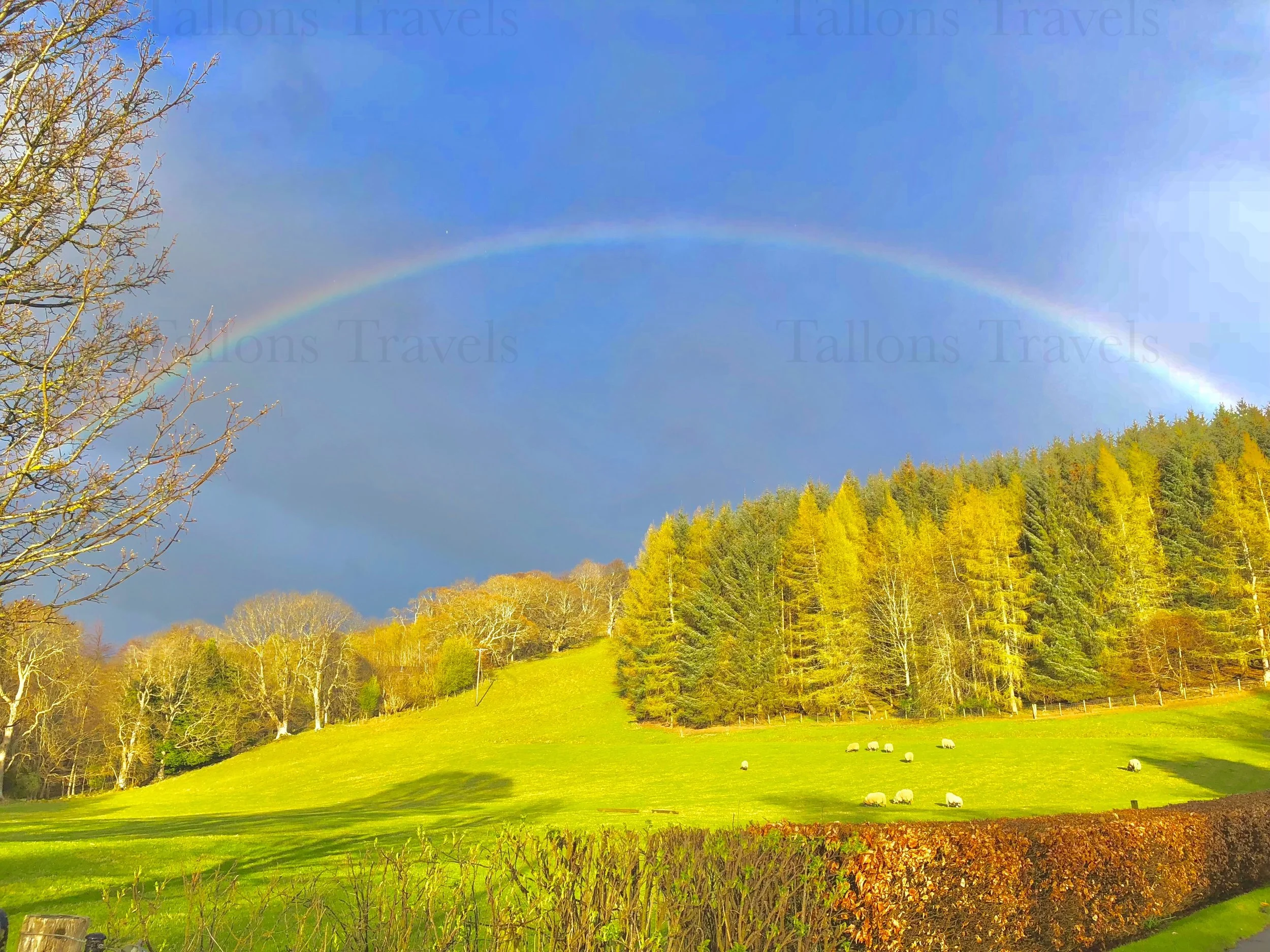 eZy Watermark_27-01-2026_09-47-12-1220PM.jpg