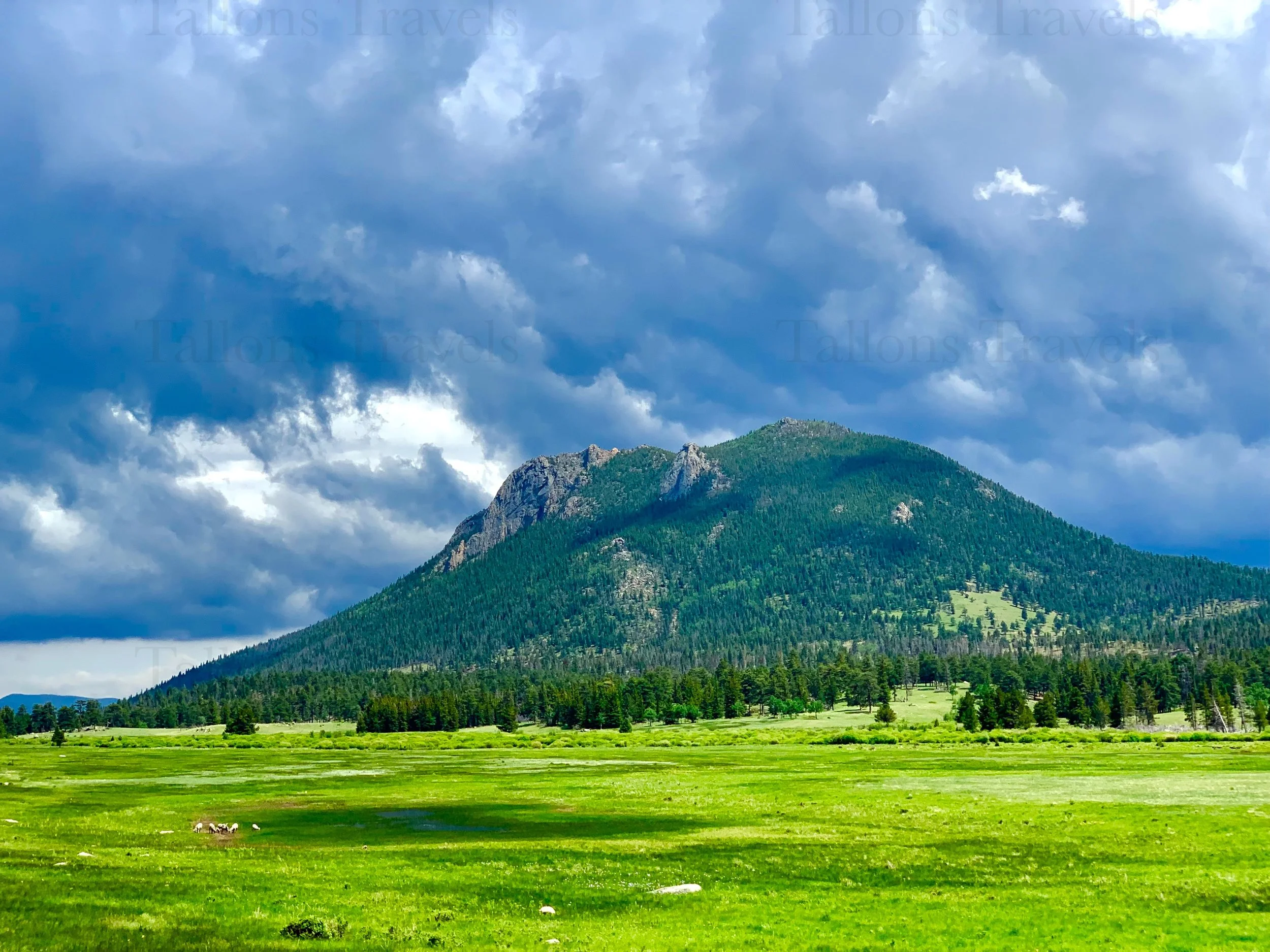 eZy Watermark_27-01-2026_09-39-33-6470PM.jpg