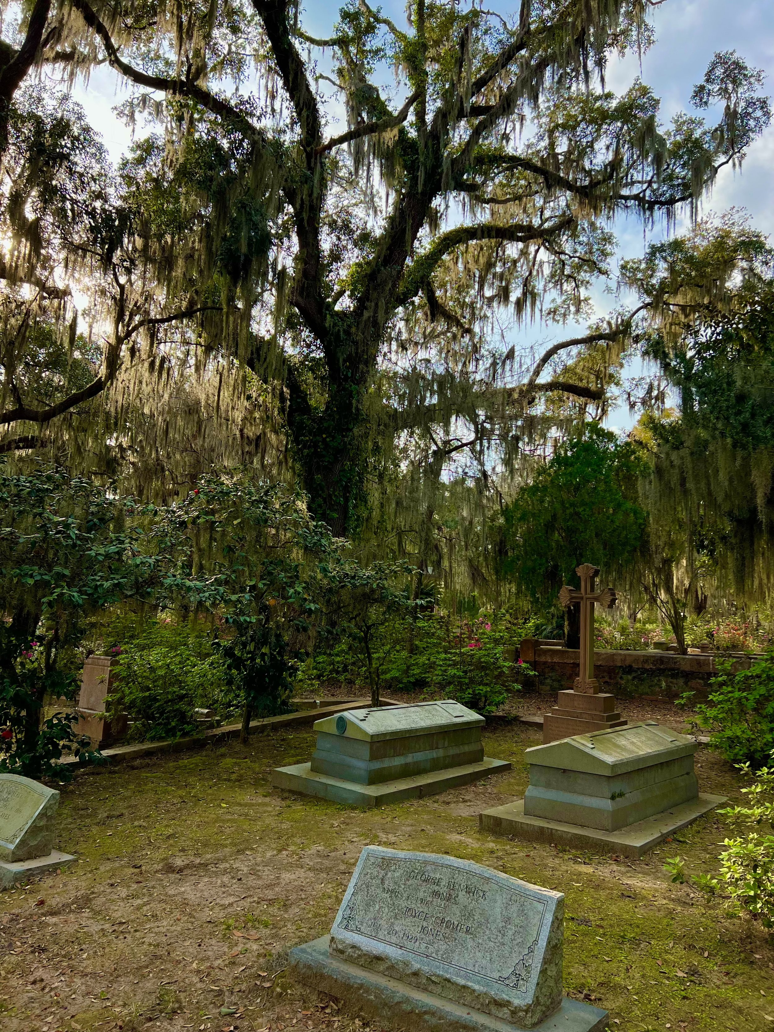 eZy Watermark_27-01-2026_10-08-08-5250PM.jpg