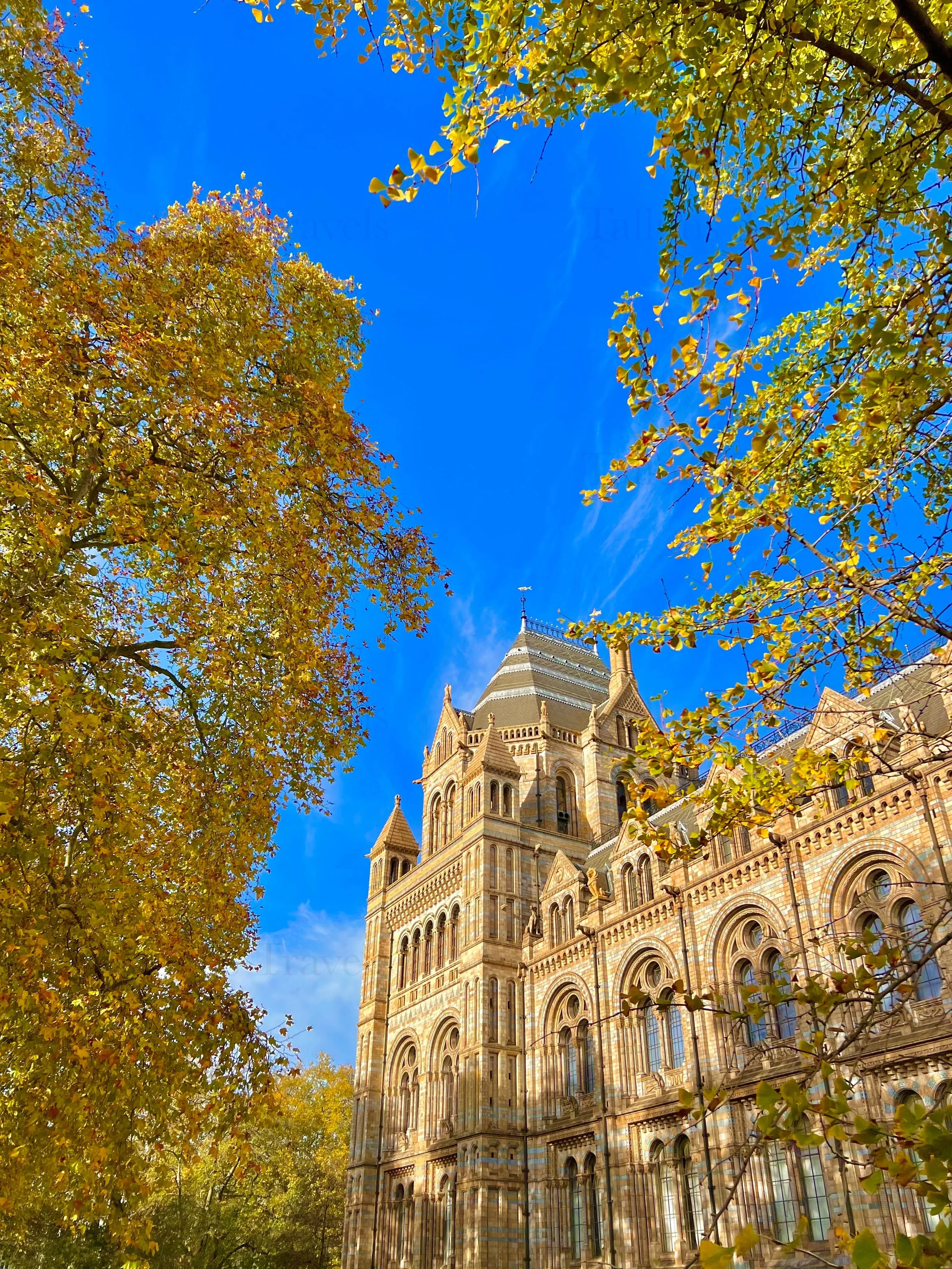 eZy Watermark_23-01-2026_01-42-49-9290PM.jpg