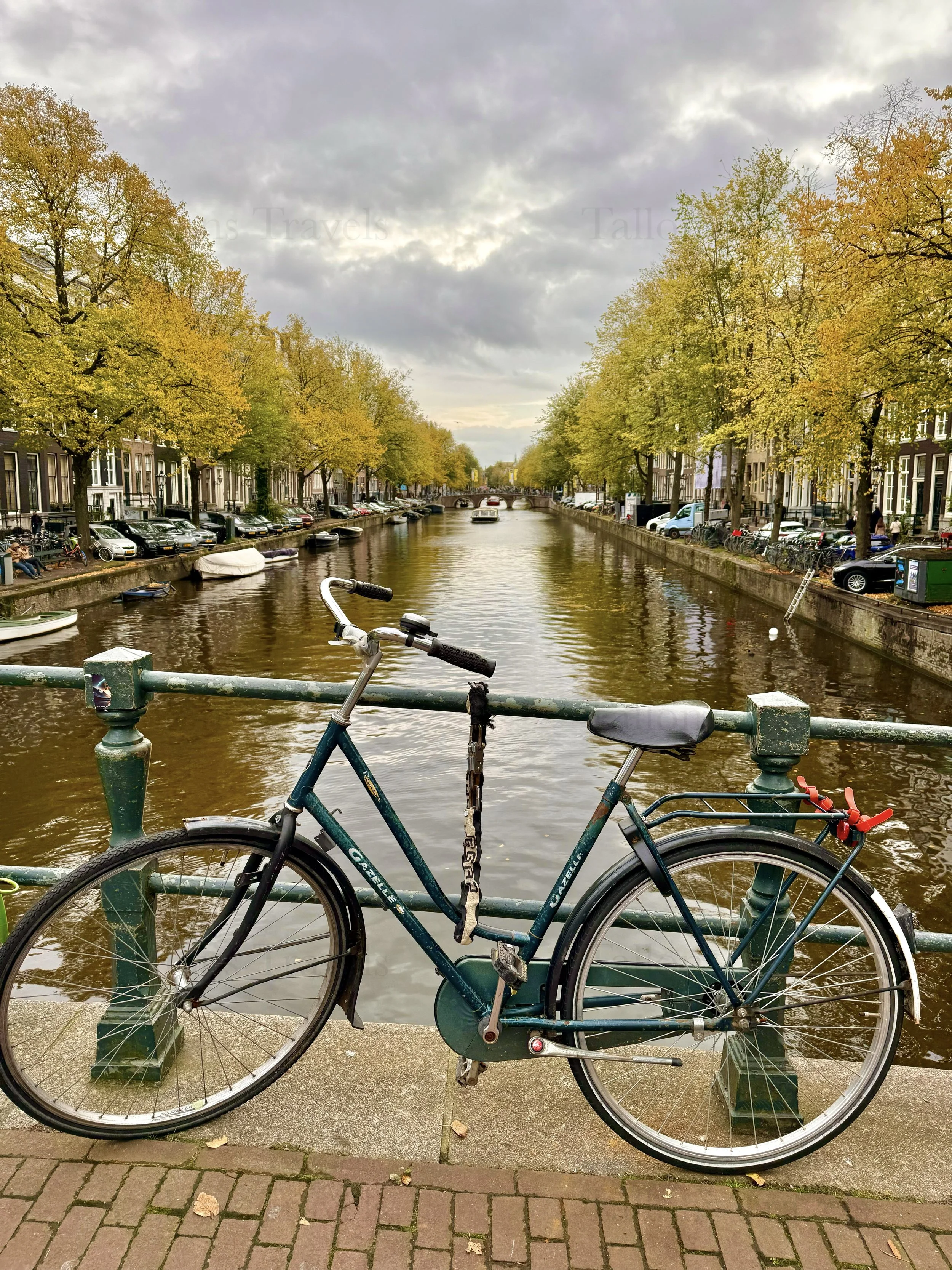 eZy Watermark_23-01-2026_11-38-49-4790AM.jpg