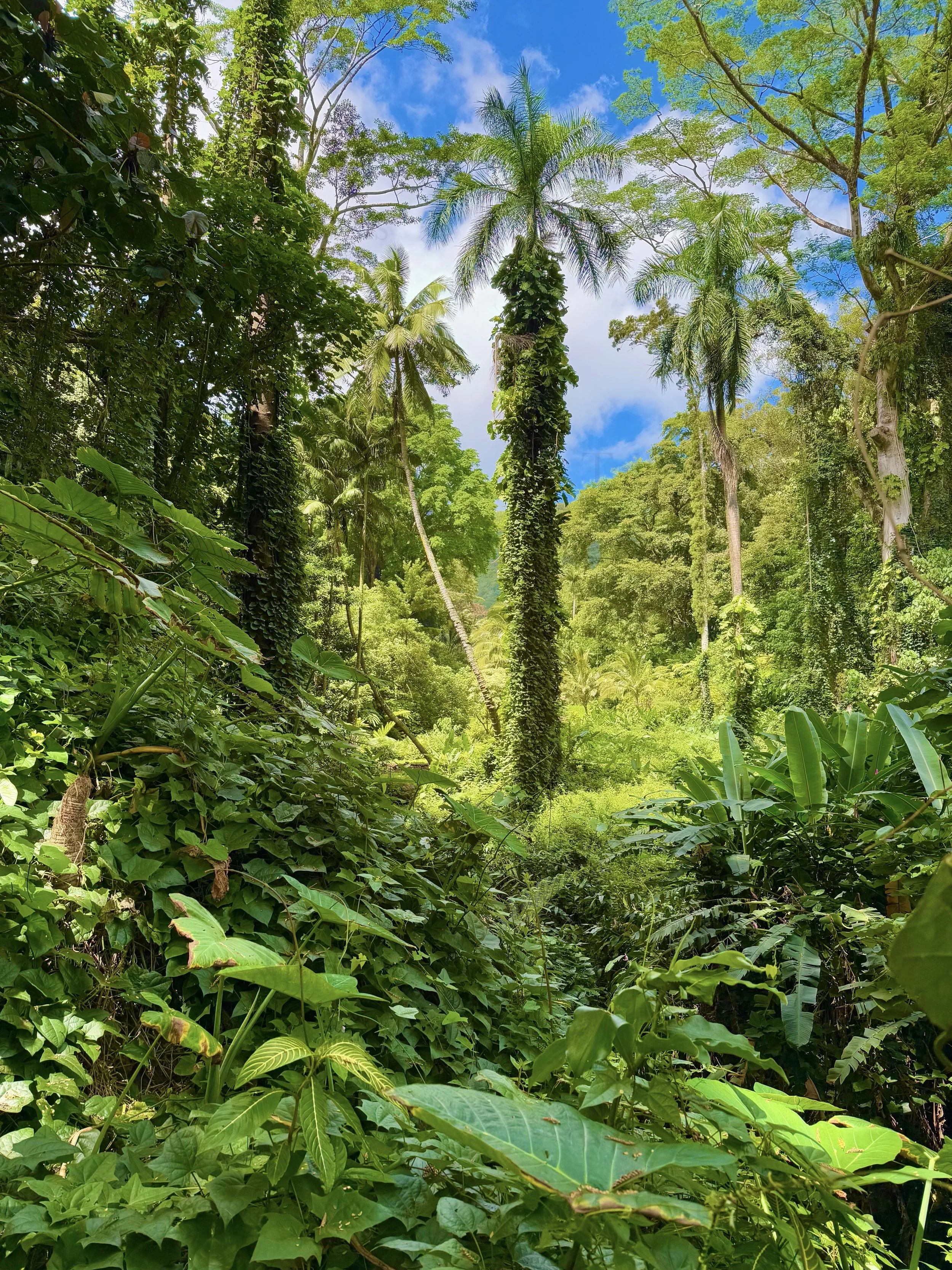 eZy Watermark_23-01-2026_10-20-31-5650PM.jpg