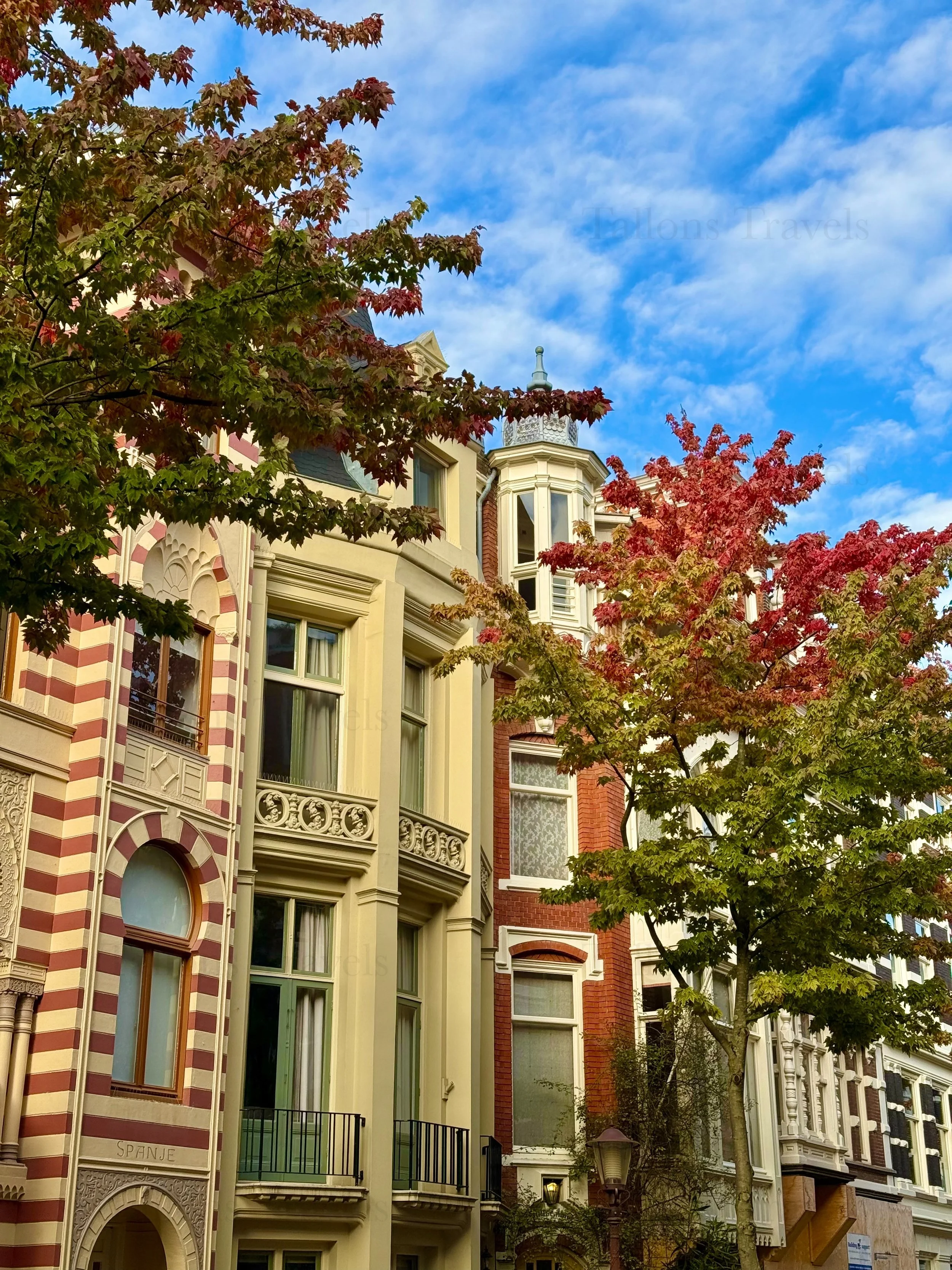 eZy Watermark_23-01-2026_11-37-09-0760AM.jpg