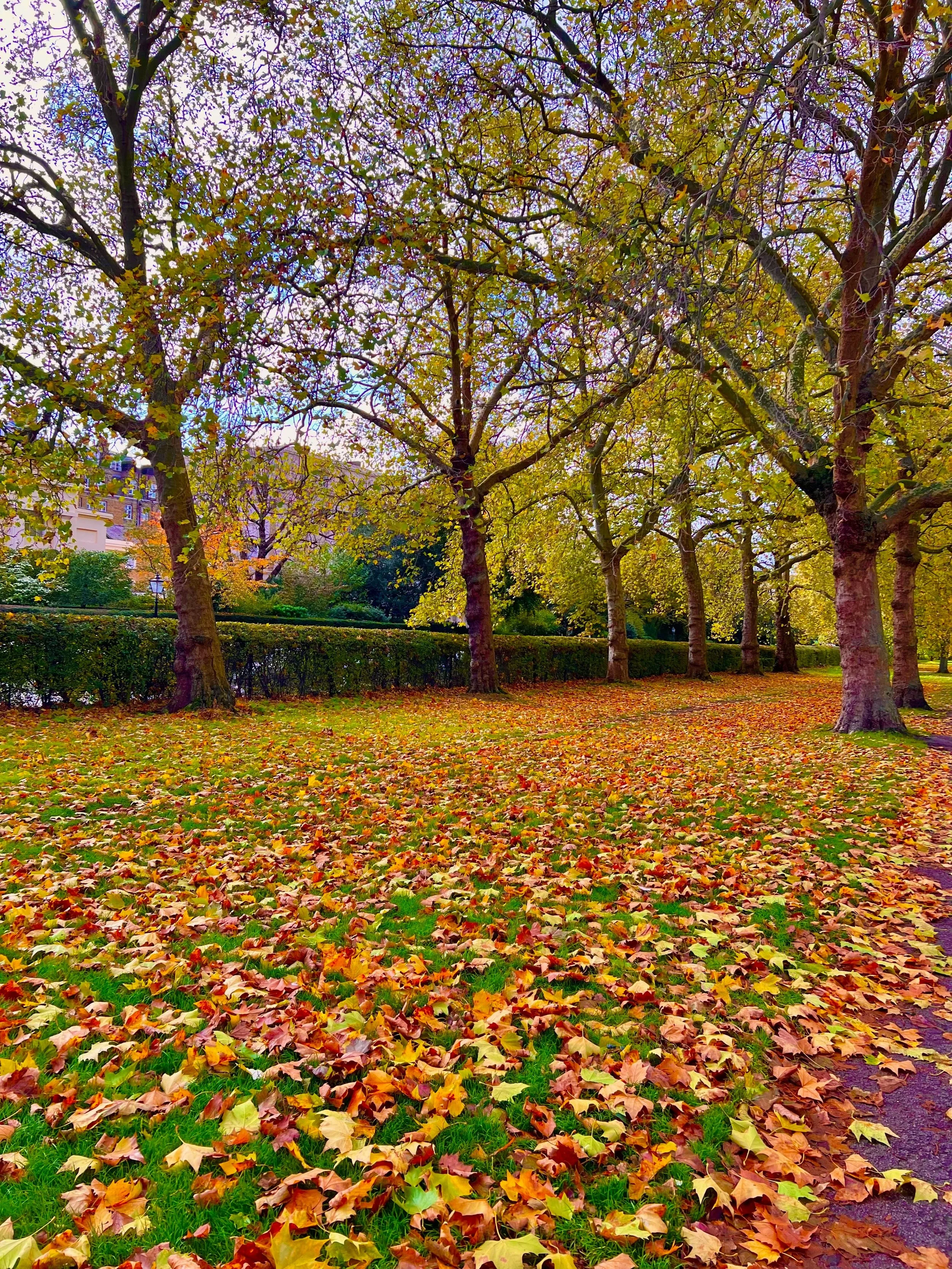 eZy Watermark_23-01-2026_01-42-45-8320PM.jpg