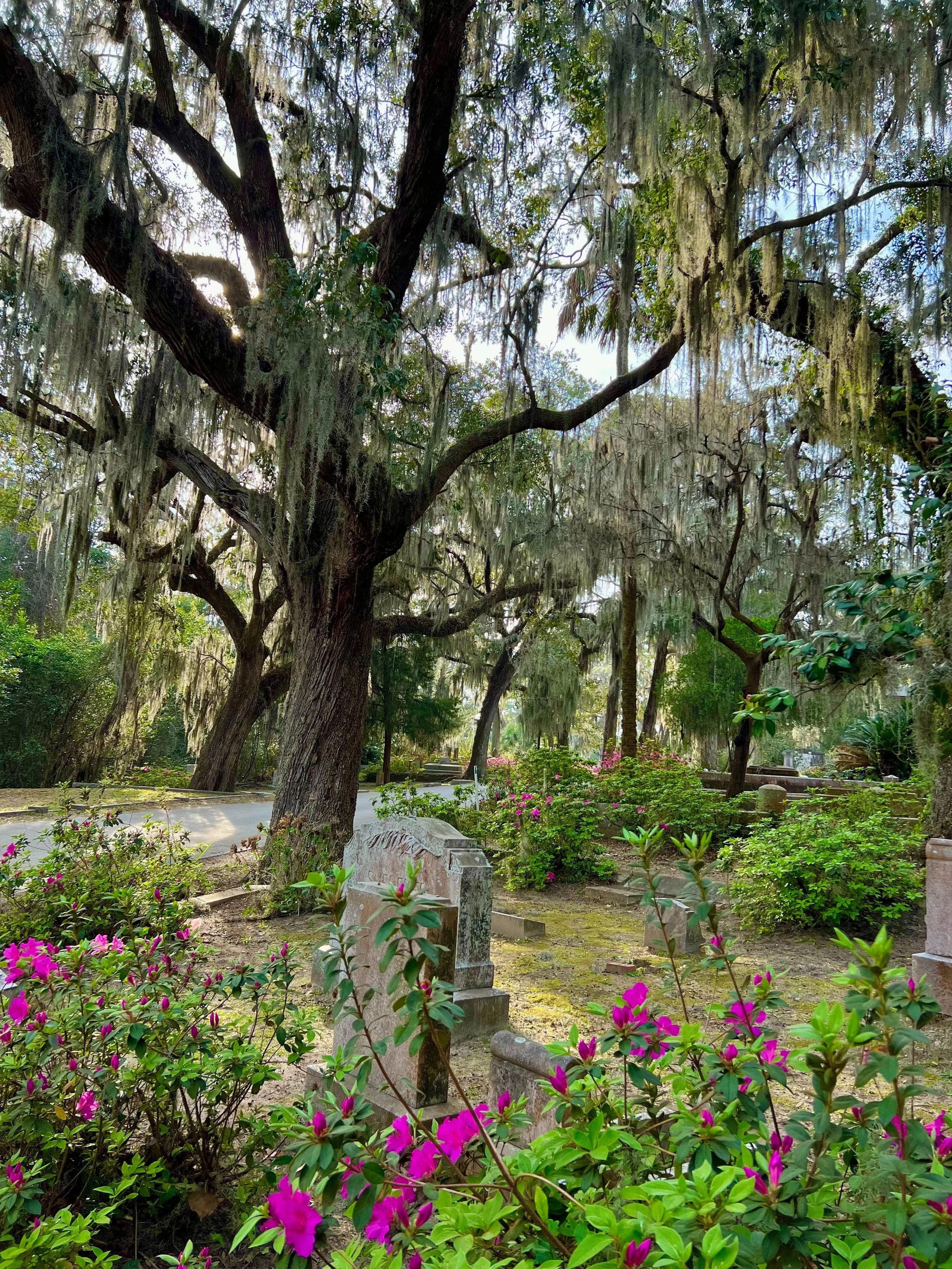 eZy Watermark_27-01-2026_10-08-07-4240PM.jpg