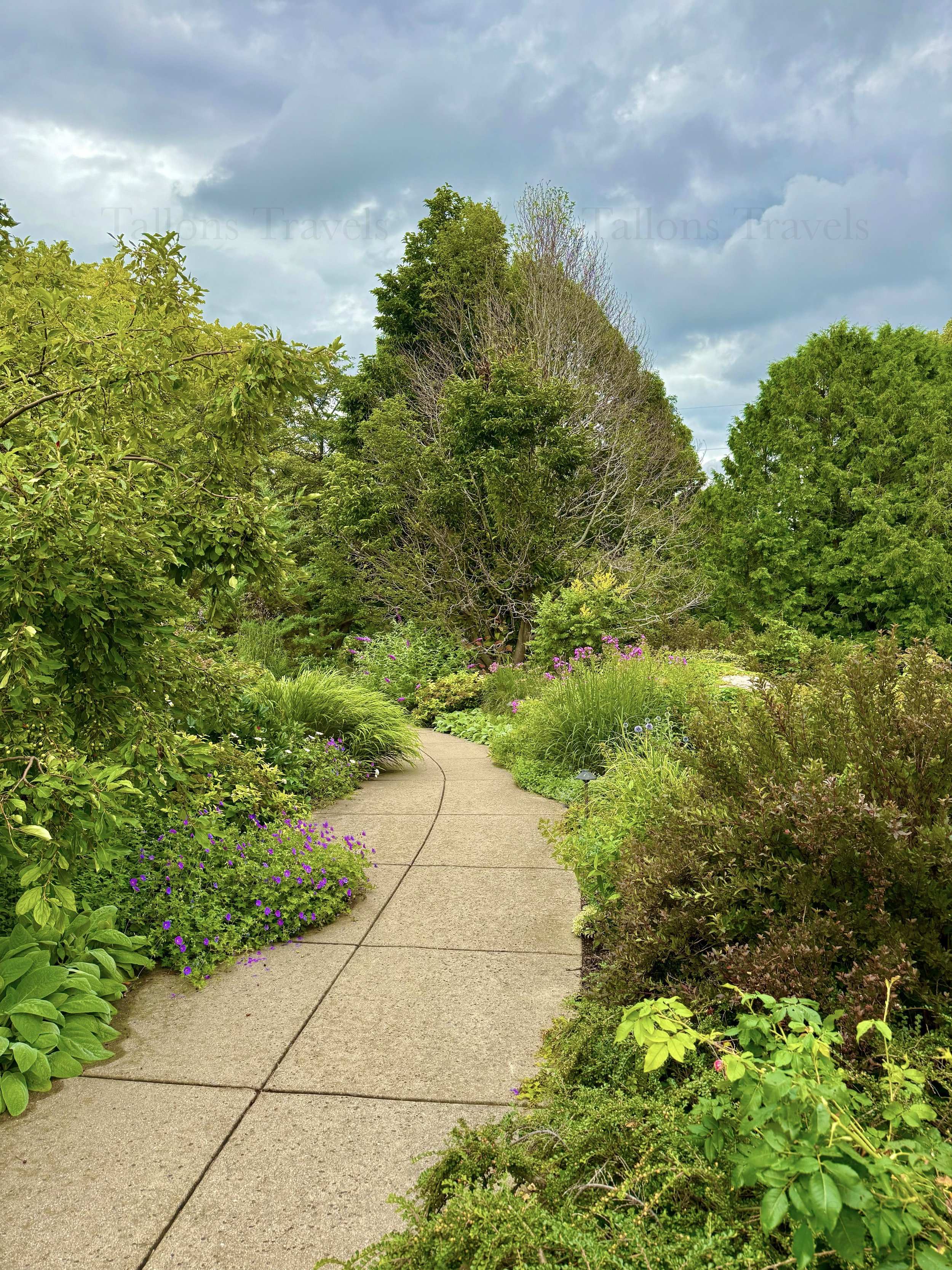 eZy Watermark_23-01-2026_10-39-24-8300PM.jpg