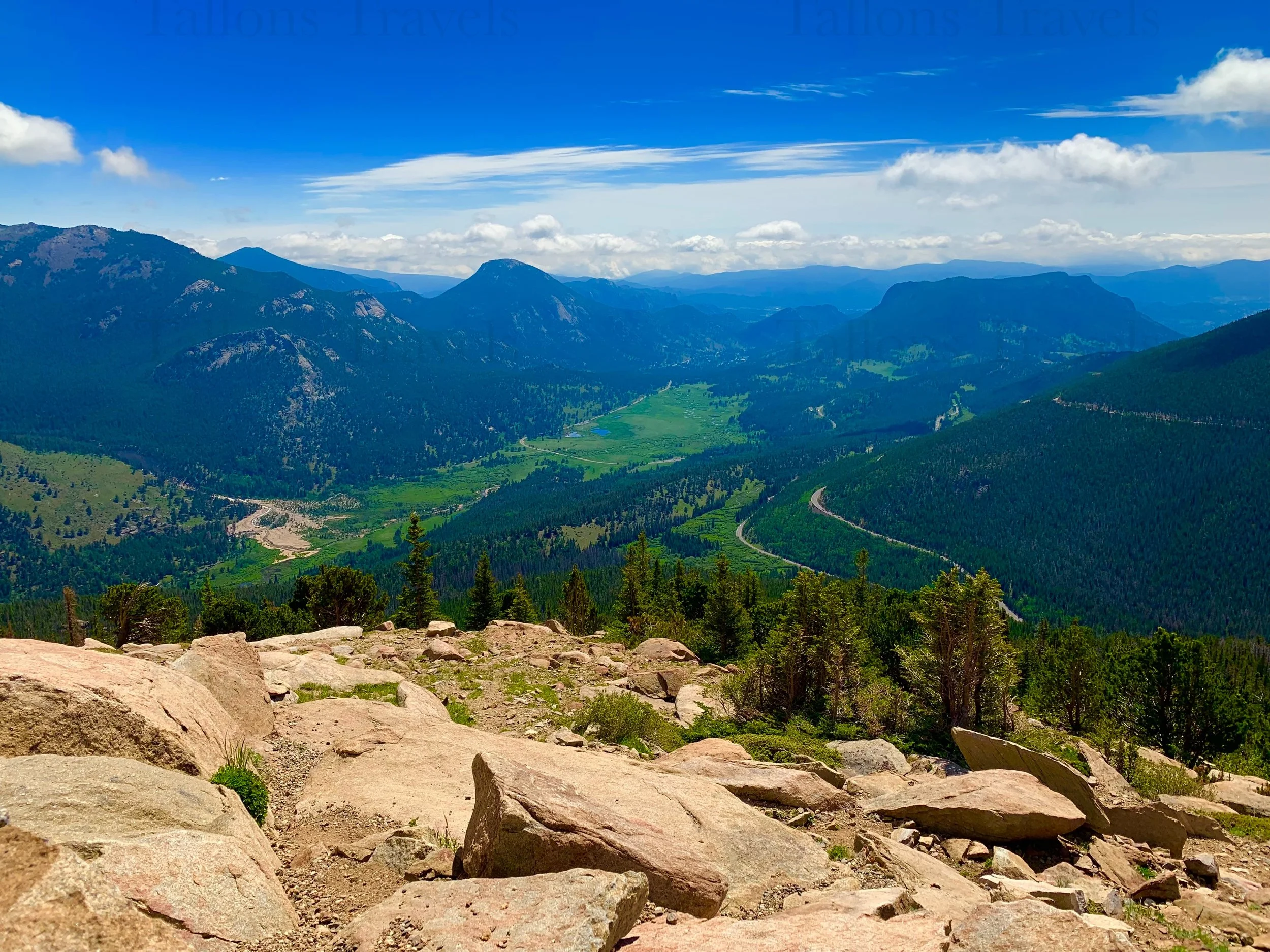 eZy Watermark_27-01-2026_09-39-29-5110PM.jpg