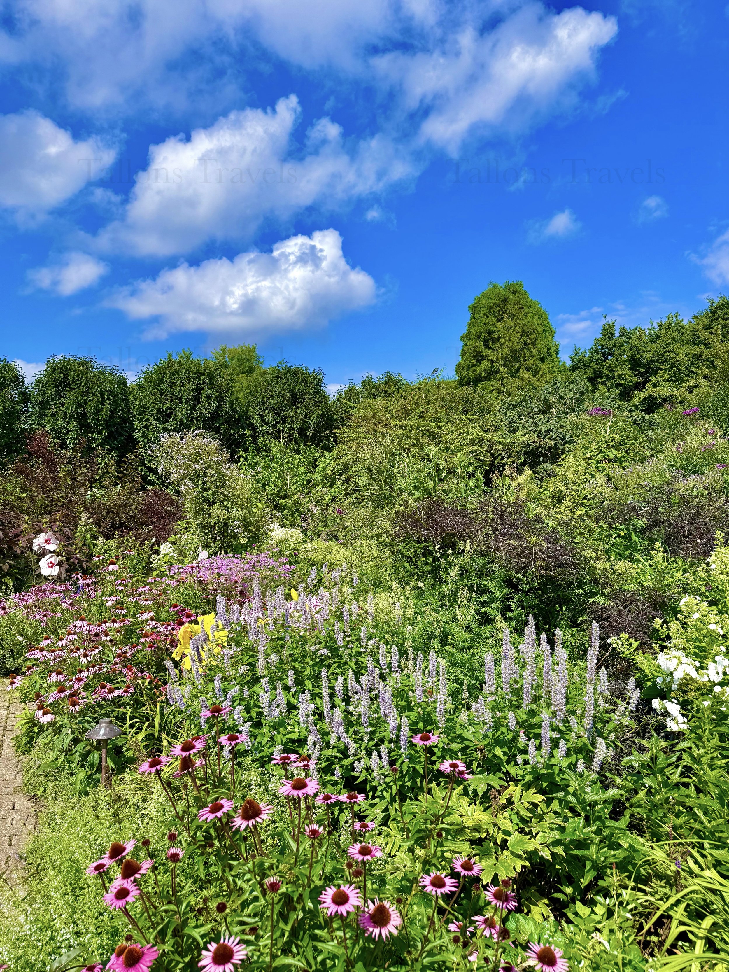 eZy Watermark_23-01-2026_10-39-29-7280PM.jpg