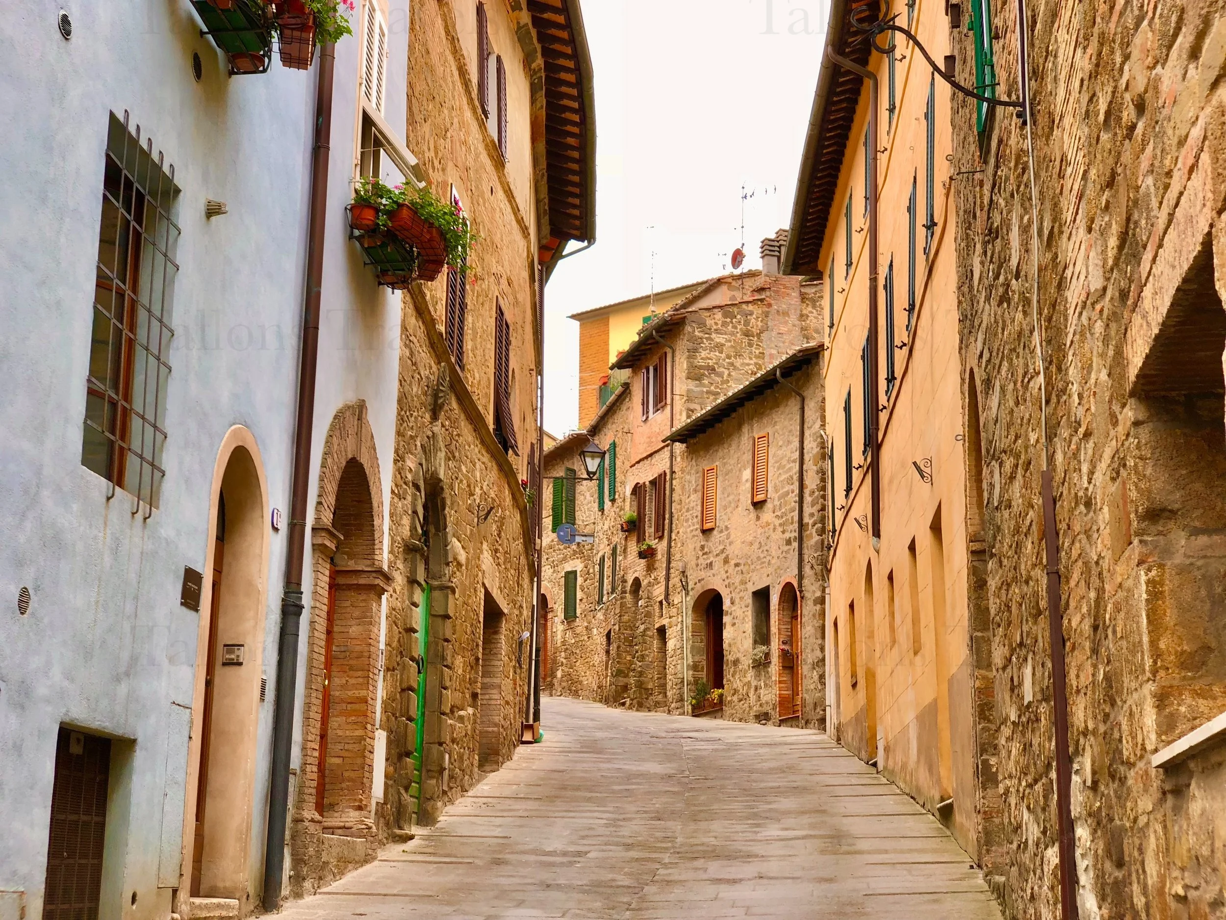 eZy Watermark_24-01-2026_08-09-53-7260PM.jpg